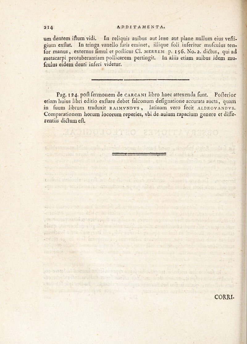 / \ um dentem iflum vidi. In reliquis auibus aut leue aut plane nullum eius ve/li- gium exflat. In tringa vanello faris eminet, illique foli inferitur mufculus ten- for manus, externus fimul et poflicus Cl. merrem p. 156. No.2. didus, qui ad metacarpi protuberantiam pollicarem pertingit. In aliis etiam auibus idem mu- fcuius eidem denti inferi videtur. Pag. 124. poftfermonem de carcani libro haec attexenda funt. Pofterior etiam huius libri editio exflare debet'falconum defignatione accurata aucta, quam in fuum librum traduxit raimvndvs , latiiiam vero fecit aldrovandvs. Comparationem horum locorum reperies, vbi de auiurn rapacium genere et diffe- rentiis didum eff. CORRt-