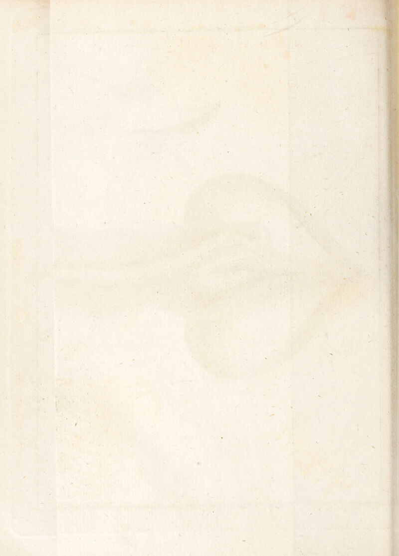 l M » \ / . / y '.r' iL I »V*y* i* \ i \ r- i f' ‘ ^ % ’ W- f  l 4 A * - /^ t 1 -4. -T »< ■'>; f'’ * r* • / ^ ,*• N ( ST . . < X >.-f?^/V V-> . 4 s’ ; .%■ < 4* , > %■. \ . ■ ■k'^’ I V i 4 V % »* / s -c. ' >fc 1 * s \ ; j i ( » '' \ r ♦. . ( \ ' .t i • . ' ^ <1* i N .1 > ' > S. . / V •i'