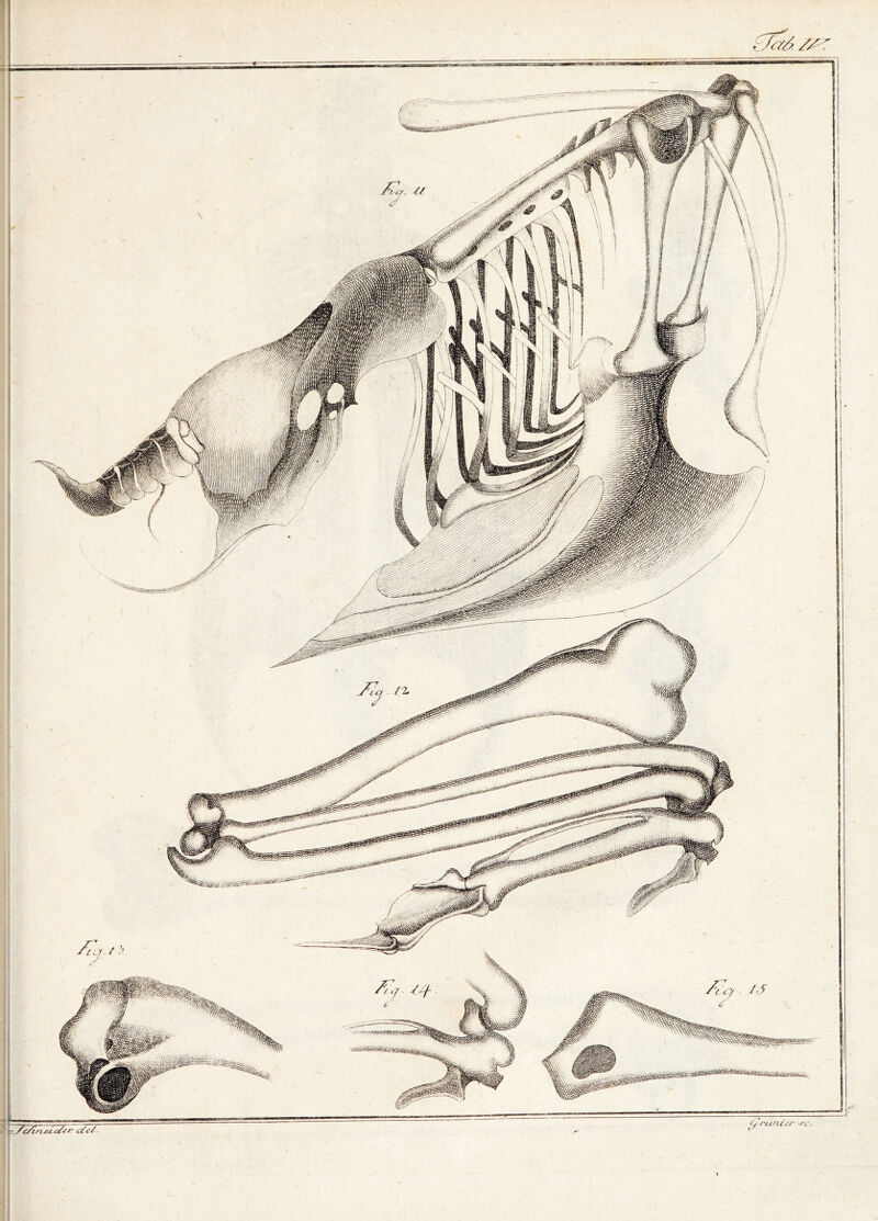 ^7(7^./A . \^c/irLj:/, c/cr c7c^ ■ Cj, rtln/^r -rc.