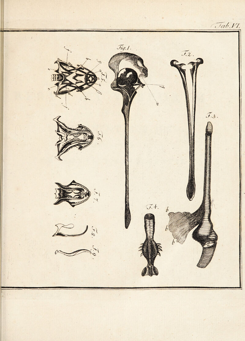 ^ T Ja /y. y/. -r I ■