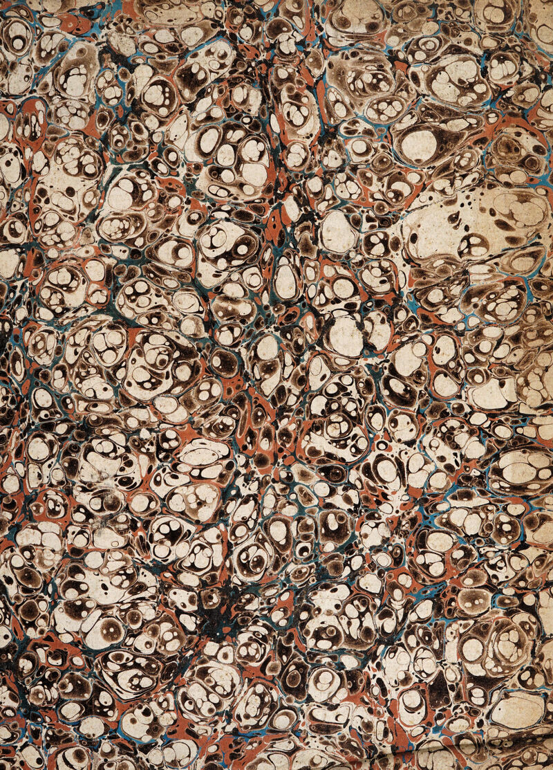 No text description is available for this image