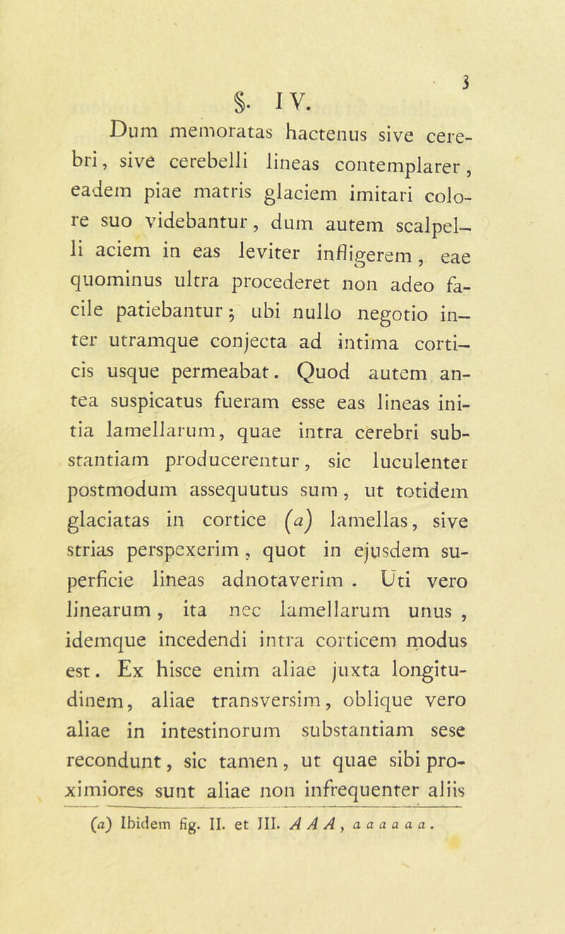 i §• IV. Dum memoratas hactenus sive cere- bri, sive cerebelli lineas contemplarer, eadem piae matris glaciem imitari colo- re suo videbantur, dum autem scalpel- li aciem in eas leviter infligerem, eae quominus ultra procederet non adeo fa- cile patiebantur; ubi nullo negotio in- ter utramque conjecta ad intima corti- cis usque permeabat. Quod autem an- tea suspicatus fueram esse eas lineas ini- tia lamellarum, quae intra cerebri sub- stantiam producerentur, sic luculenter postmodum assequutus sum, ut totidem glaciatas in cortice (a) lamellas, sive strias perspexerim , quot in ejusdem su- perficie lineas adnotaverim . Uti vero linearum, ita nec lamellarum unus , idemque incedendi intra corticem modus est. Ex hisce enim aliae juxta longitu- dinem, aliae transversim, oblique vero aliae in intestinorum substantiam sese recondunt, sic tamen, ut quae sibi pro- ximiores sunt aliae non infrequenter aliis