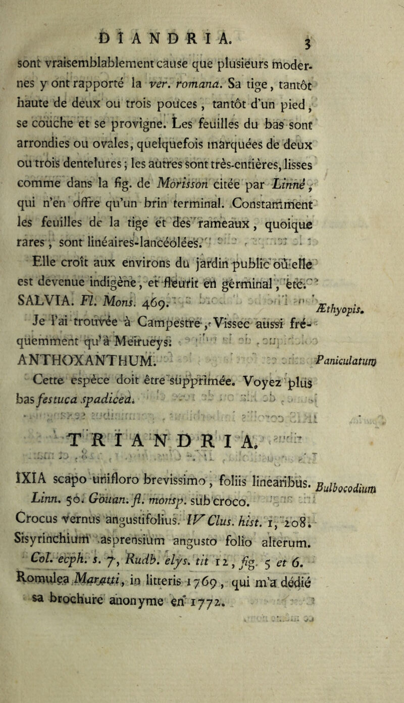 sont vraisemblablement cause que plusieurs moder- nes y ont rapporté la ver, romana. Sa tige, tantôt haute de deux ou trois pouces, tantôt d’un pied, se couche et sé provigne. Les feuilles du bas sont arrondies ou ovales, quelquefois marquées de deux ou trois dentelures ; les autres sont très-entières, lisses comme dans la fîg. de Màrisson citée par Linné, qui n’en offre qu’un brin terminal. Constaniment les feuilles de la tige et des rameaux, quoique rares j sont linéaires-lancéôlée’s.'''  ' ^ ^ ‘ ' Elle croît aux environs du jardin public oiïieîle est devenue indigène j-erflëurit ’ert gérminar, ’ëtcr'’ SAl,VIA.n.M.„.46,.v. Je l’ai trouvée à Campestre-,? Vissée aussi fré- • quemment qu'à Méiruèysl • '• • • -i . ANTHOXANTHUM; cL Pankulatum Cette espèce doit être supprimée. Voyéz'plus basfestucaspadicedi ' • --b I • : i ' 'Ci • ■ o”‘ .L W T R i A N D R I A. ’ J V - 1 ^ f - ■ • - ^ ÎXIA scapo'uriifloro brevissimo ’ foliis linéaribüs. Bulbocodiim Linn, 50^ Gouan.fl, monsp. sub'croco. Crocus vernus angustifolius. IFC/wr. hist. i,’2o8.- Sisyrinchiurtl .asprensium angusto folio alterum. CoL e'cpk. 5. 7, 'Rudb. elys. üt 5 et 6. Romulea , in litteris 1769 , qui m’a dédié sa brochure'anonyme en'1772.