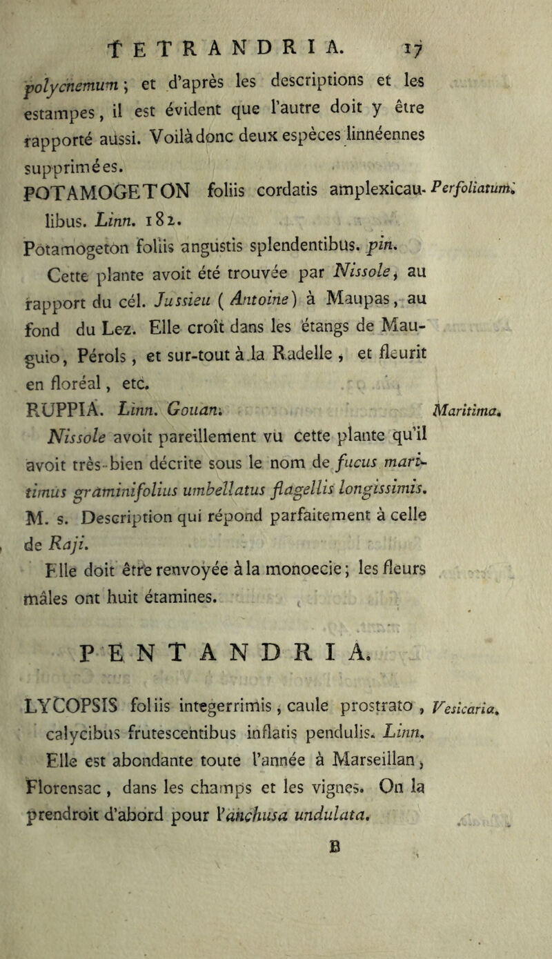 polyc'nemum-, et d’après les descriptions et les estampes, il est évident que l’autre doit y être rapporté aussi* Voila donc deux especes linneennes supprimées. POTAMOGETON foliis cordatis amplexicau- Perfoliatumi libus. Linn, i8z. Potamogeton foliis angüstis splendentibus. pin. Cette plante avoit été trouvée par Nissole^ au rapport du cél. Jussieu ( Antoine) à Maupas,* au fond du Lez. Elle croît dans les étangs de Mau- guio, Pérols, et sur-tout à.la Radelle j et fleurit en floréal, etc. PiüPPIA. Linn, Goiiam Maritima^ Nissole avoit pareillement vu cette plante qu il avoit très-bien décrite sous le nom de fucus mari- timus graminifoliiis wnhellatus flagellis longissimis, M. s. Description qui répond parfaitement à celle de Raji, File doit être renvoyée à la monoecie; les fleurs mâles ont huit étamines. ^ P E N T A N D R I A. LYCOPSIS foliis integerrimis, caille pTosmto , j^eslcaria, calycibus frutescehtibus inflatis pendulis* Linn, Elle est abondante toute l’année à Marseiilan ^ Florensac , dans les champs et les vignes. On la prendroit d’abord pour Yàhchusa undulata. B