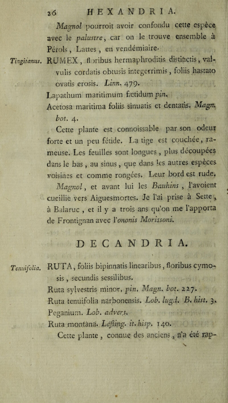 Tingitamts, Tenuifolia, i6 HEXANDRIA. Ma^ol pourroit avoir confondu cette espèce avec le palustre, car on le trouve ensemble à Pérols, Lattes , en vendémiaire- RLIiViEX , fl )ribus hermaphroditis distiftctis, val- VLilis cordatis obtusis integetrimis, foliis hastato ovatis erosis. Linn. 479. Lapathum maritimum fætidump/^., Acetosa maritima foliis sinuatis et dcntatts. Magn. bot, 4. Cette plante est connoissable par son odeur forte et un peu fétide. La tige est couchée, ra- meuse. Les feuilles sont longues, plus découpées dans le bas, au sinus, que dans les autres espèces voisines et comme rongées. Leur bord est rude. Magnol, et avant lui les Baiihins , 1 avoient cueillie vers Aiguesmortes. Je l’ai prise à Sette , à Balaruc , et il y a trois ans qu’on me l’apporta de Frontignan avec Vononis Morissoni, DECANDRIA. RUTA, foliis bipinnatis linearibus, floribus cymo- sis, secundis sessilibus. Ruta sylvestris minor. pin, Magn, bot, 227. Ruta tenuifolia narbonensis. Lob, lugd. B, kist, 3,. Peganium. Lob, adverj, Ruta montàna. Lèfling, it.kisv, 140. Cette plante , connue des anciens, n’a été rap-