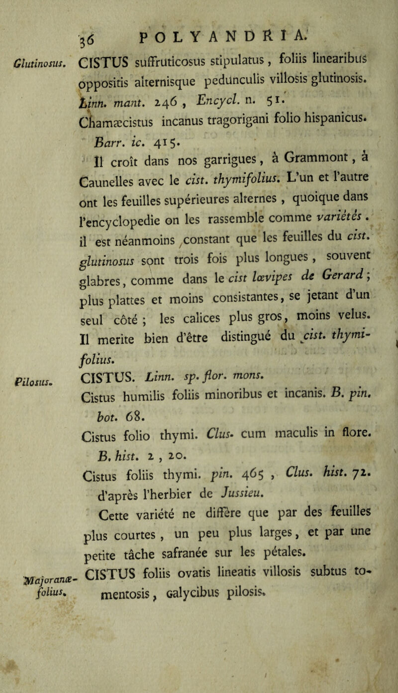 Gîutinosus, PUosus» 2^ajoranæ folius^ 36 P O L Y A N D R I a; eiSTUS suffruticosus stipulais , foliis linearibus oppositis alternisque pedunculis villosis glutinosis. Limu mant. 246 , Encycl. n. 51. Chamæcistus incanus tragorigani folio hispanicus* ■ Barr. ic. 415. ■' Il croît dans nos garrigues, à Grammont, à Cannelles avec le cin. thymifolius. L’un et l’autre ont les feuilles supérieures alternes , quoique dans l’encyclopedie on les rassemble comme variétés . il est néanmoins constant que les feuilles du cist. gîutinosus spnt trois fois plus longues, souvent glabres, comme dans le cist Icevipes de Gérard ; plus plâtres et moins consistantes, se jetant d un seul côté ; les calices plus gros , moins velus. Il mérité bien d’être distingué du cist. thymt- foliiis. CISTUS. Linn, sp. flor, mons. Cistus humilis foliis minoribus et incanis. B. pîru bot» 68. Cistus folio thymi. Clus^ cum maculis in flore. B. hist» 2 , 20. Cistus foliis thymi. pin, 465 , Clus. hist, 72. d’après l’herbier de Jussieu. Cette variété ne diffère que par des feuilles plus courtes , un peu plus larges, et par une petite tâche safranée sur les pétales. CISTUS foliis ovatis lineatis villosis subtus to- mentosis, oalycibus pilosis.