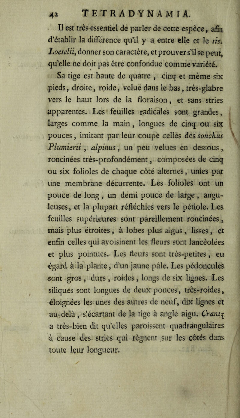 . Il est très-essentiel de parler de cette espèce, afin d’établir la différence qu’il y a entre elle et le sif, Loeseliiy donner son caractère, et prouver s’il se peut, qu’elle ne doit pas être confondue comme variété. Sa tige est haute de quatre , cinq et même six .pieds, droite, roide, velue dans le bas, très-glabre vers le haut lors de la floraison, et-sans stries apparentes. Les feuilles radicales sont grandes, larges comme la main, longues de cinq ou six pouces, imitant par leur coupe celles des sonchus Plumierii , alpinus, un peu velues en dessous, roncinées très-profondément, composées de cinq ou six folioles de chaque côté alternes, unies par une membrane décurrente. Les folioles ont un pouce de long, un demi pouce de large, angu- leuses, et la plupart réfléchies vers le pétiole. Les feuilles supérieures sont pareillement roncinées, mais plus étroites , à lobes plus aigus , lisses , et enfin celles qui avoisinent les fleurs sont lancéolées et plus pointues. Les fleurs sont très-petites, eu égard à.la plante, d’un jaune pâle. Les pédoncules sont gros , durs , roides , longs de six lignes. Les siliques sont longues de deux pouces, très-roides, éloignées les unes des autres de neuf, dix lignes et au-delà, s!écartant de la tige à angle aigu. Crant:^ a très-bien dit qu’elles paroisscnt quadrangulaires à cause des stries qui régnent sur les côtés dans toute leur longueur.