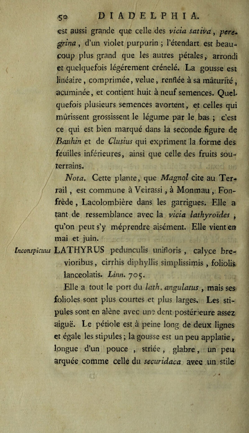 est aussi grande que celle des vicia sativa, grina, d’un violet purpurin ; l’étendart est beau- coup plus grand que les autres pétales, arrondi et quelquefois légèrement crénelé. La gousse est linéaire, comprimée, velue, renflée à sa maturité, acuminée, et contient huit à neuf semences. Quel- quefois plusieurs semences avortent, e^ celles qui mûrissent grossissent le légume par le bas ; c’est ce qui est bien marqué dans la seconde figure de Bauhin et de Clusius qui expriment la forme des feuilles inférieures, ainsi que celle des fruits sou- /terrains. / Nota, Cette plante, que Magnol cite au Ter- / rail, est commune à Veirassi, à Monmau , Fon- / frède , Lacolombière dans les garrigues. Elle a / tant de ressemblance avec la vicia lathyroïdes , / qu’on peut s’y méprendre aisément. Elle vient en / mai et juin. Inconspicms LATHYRUS pedunculis unifloris , calyce bre- vioribus, cirrhis diphyllis simplissimis , foliolis lanceolatis. Linn, 705. Elle a tout le port du lath, angulatus , mais ses folioles sont plus courtes et plus larges* Les sti- pules sont en alêne avec uno dent postérieure assez aiguë. Le pétiole est à peine long de deux lignes et égale les stipules ; la gousse est un peu applatie, longue d’un pouce , striée, glabre, un peu arquée comme celle du securidaca avec un stilc