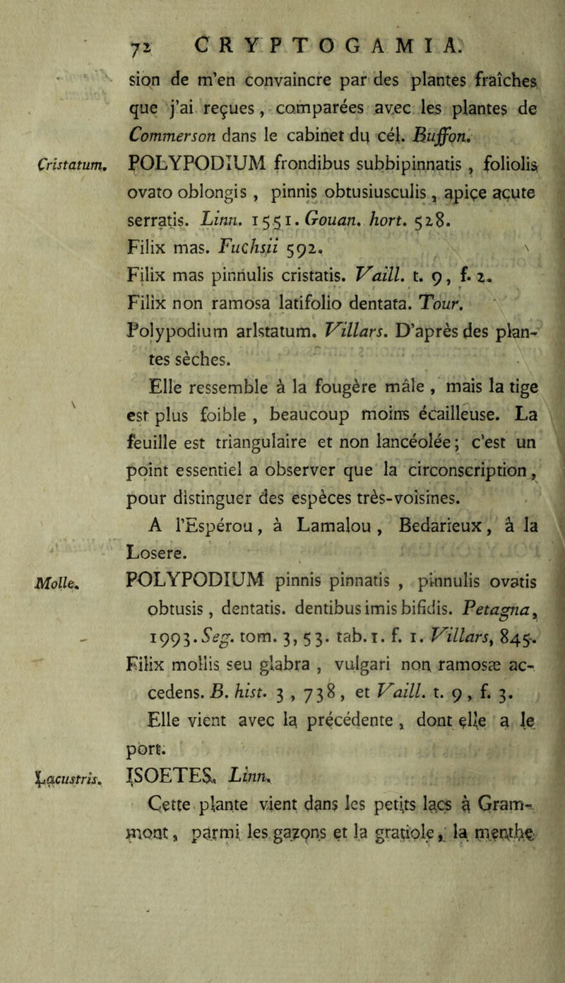 7^ '• sion de m’en convaincre parades plantes fraîches que j’ai reçues, comparées avec les plantes de Commerson dans le cabinet du cél. Buffon. Çristatum, POLYPODîUM frondibus subbipinnatis , foliolis ovato oblongis , pinnis obtusiusculis , apiçe açute serratis. Linn, Gouan. hort. 518. Filix mas. Fuchsii 592, n Filix mas pinriulis cristatis. VaüL t. 9, f. 2. Filix non ramosa latifolio dentata. Tour. Polypodium arlstatum, Villars, D’après des plan- tes sèches. Elle ressemble à la fougère mâle , mais la tige est plus foible , beaucoup moins écailleuse. La feuille est triangulaire et non lancéolée ; c’est un point essentiel a observer que la circonscription, pour distinguer des espèces très-voisines. A l’Espérou, à Lamalou , Bedarieux, â la Losere. Molh. POLYPODIUM pinnis pinnatis , pinnulis ovatis obtusis, dentatis. dentibusimisbifidis. Petagna^ tom. 3,53. tab.I. f. i. Villars^ 845-. Filix mollis seu glabra , vulgari non ramosæ ac- cedens. B. hisu 3,738, et Vaill. t. 9 , f. 3. Elle vient avec la précédente , dont elle a le port; \t&custrif, ISOETES, LiJlîl. Cette.plante vient dans les petits lacs à Gram-, mont, pa.rrni les galons et la gratiolela nientbç;