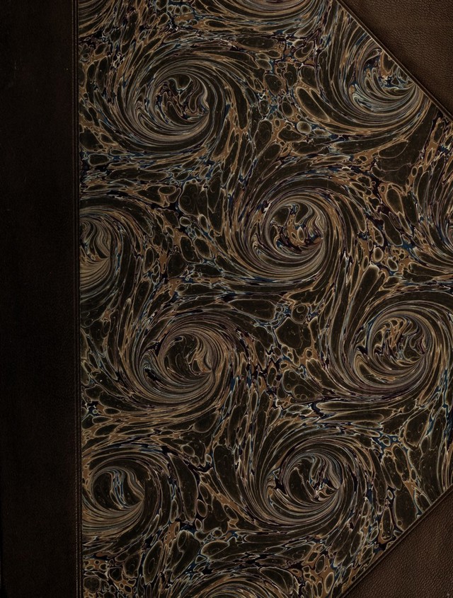 digitised image 1