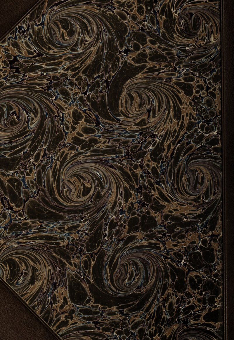 No text description is available for this image