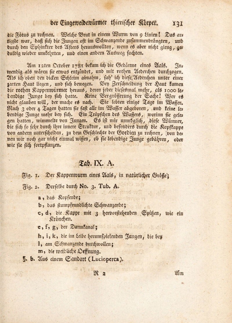 feie $f£ttte jit redmen«. 5Beld;e S3rut in einem 5§Burm Don 9 Unionl m ikjjte mar, bag fid) bte jungen oft im ©djnoan^enbe pfammenbrSngten, tmb f>urd) ben ©p^inFtcr be$ 2ffter6 Iterattemollten, trenn e$ aber mdfjt gteng f gee feutbtg trieber umFel^rten, unb einen anbern ^(uPtreg futtern 5fm iaten October 178* beFarn xd) bie ©ebarme cine$ SlaK«. trenbig afö u>5ren fte etma£ enthübet, unb mit rotten 2feberd;ett bitrd^ogen«. 311$ i<| oben ben biefen ©ddeim abna^nt, fa^5 xd) btefe|3(cberd;en unter einer |arten Jgaut liegen, unb ft'd) betregen«. Stet? gerfdjnetbung ber $aut famen feie rot()cn Äappemrürtner %erau$, bereu jeber biefe$mal me^r/ d$ 1000 U* teniuge Sutige bet) fid) l^atte«. Äettte SSergrbffernng ber ©adje! 523er e$ nicht glauben milt, bermadje e$ naef)«. ©ie lebten einige $£age im QBetffen^ fftad) 3 eher 4 &agen Ratten fte fajt alle im SBaffer abgeboren, unb feine U$ benbige 3mn<te meljr bet) ftdj«. Gin &rbpfcf)en be$ 523ajfer$, trorimt fte gele* gen Ratten, trimmelte Don Su^3e^ ift mir unmbglidt, biefe 5£>urmer„ bie fid) fo fcf>r burefy %e innere ©tvuFtur, unb befottber$ burc^ bie «^opffappe Don anbern unterfdjeiben, ju bem @efd;led)te ber ©Otbten ju regnen , [Don bes nett mir nod) gar nidjjt einmal triffen, ob fte lebenbige gütige geboren y ober loie fte fid) fovtpflanjem m ix. a. ** 9 ^« ; ■ 4rA $}§, 1. Dev SappmtPtitm eines In ©vJfej $uj. », Devfelfre buvd) No. 3. Tub» A. • V; ’ * , & _• { 1 i * f \ • / 4 • - ;• * * a , baö $opfenbe; b , baö (tumpfrunbiid^te ©c^wanjeitbe; c, d, bte Äappe mit 3 ^erpovfieijjenbett @pi|en? wie ein ^röndjen. c, f, g, bev Sannfatml; h, i, k, bie int leibe ^evumfpfeicnben bie fc? l, ßtn ©cfimanjenbe bitvc^iwEen; m, bie roeibltdte ßeffnuticj. §. b. 5ta^ einem 0ötltwt (Ludoperca). 91 % ^Tm