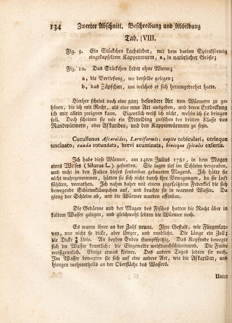 1 jiim %uy 9* (Sin ©tucMjeu £adE)Slebet, mit bem batinn ©piralformtg cittäcfepfeftem Äappenmurm, a, in natürlicher <S>r6ge; $rig</ 10«. SaS ©tucfc^en ZtbtK ebne 9B3urm; a, bte Vertiefung, wo berfelbe gelegen; b, baS gdpfcben, um weldjeS et fiel) Ijevumgebte^et batt** } t ^Metber fc^etnt ttoc^ eine ganj befonbete 2(tt bon SBurntertt ju ge* h5ren, bte tcb mit SKed^t, als eine neue 2ltt auSgeben, unb beten Sntbecfung tcf> mit allein ^teignen Eanm ©gentlidf) weiß id) nicht, wobin id) fie bringen fbUv Sod) fd;einen fie mit ein 9)?tttelöing 3wifd;en bet britten klaffe ttott Sftunbmürmern, ober Slffariben, unb ben 5\appenn>ütmetn ju feptn Cucullanus AJcaro'ides^ LarviformU\ capite orbiculari* Utrinqus uncinatOi canda rotundata, brcvi acuminata, binisquc fpiculis exfcrtis. Sd) b^be btefe 2Surmer, am i4tcn 3ultuS 1781 , tn bem 2D?agett I eineS Reffes (Silurus L.) gefunbem (Sie tagen tief im Schleim Vergraben, unb recht in ben galten btefeS fonbetbat gebaueten SÜcagenS«. SM) batte fte nid)t wabtgenommen, Ratten fte ftd> nicht butd; i^te Bewegungen, ba fie luft füllten, berratben* 3d) nahm habet mit einem jugefpigtem Jeberftel bte fid) bewegenbe @d>leimE£umpd;en auf, unb braute fte in watmeb SÖaffet» Sa gieng bet ©chleim ab, unb bie SButmet würben offenbar ♦ . r • f ; r) Ij* } : ‘ . _ J  , • *f I Sie ©eb&rme unb bet SDlagen beb $ifcheS batten bte STadjt übet in faltem SLßaffer gelegen, unb gleichwohl lebten bie SBürmer nod> waten ihrer an bet gahl neunte $h*e ©ejialt, wie ^Itegenlar^ Uen? nur nid)t fo bicEe, aber langet, unb ntnbli^U Sie Hnge ein goll; bie SicEe J linie«. ^Cn bepben Stuben fhtmpffpifig* SaS ^opfenbe bewegte ftd) im VJaßer fenntlid): bie ©ngeweibe weißburd;fd)hitmetnb* Sie Jyatbe mißgraulich» Einige etwas Eleinct\ SeS anbern XageS lebten fie noch«, gm QÖaffer bewegten fie fid) auf eine anbere 2trt, wie bte SlfEartöeH/ unb Stengen mehrenthelM an bet Obetfldd;e beS SßaflerS* Unter
