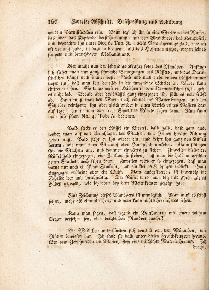 genbern SarmßucEchen reim Samt leg’ ich xfy\ in eine (Streife reineS SBaffer, baS über baS ,^opfenbe ^erfh^ea muß, auf ben ©faSfchteber bcS ^ompofitt, unb beobachte ifjtt unter No. 6. Tub. Ä. $ein ^BergrüßerungSglaS, tute id) oft berfuc^t habe, ifl ba^u fo bequem, als baS Jjpoff matmifcf>e, wegen feinet ftmpeln unb brauchbaren SJlechantSntuS. « i. i - V ' V ^ r]'\ * * £ ' * ’ •' *' ? ; > / .! $ier macht nun ber lebentnge Strafet fofgenbea $£ftanSber. 2fitf5ng* (ich fielet man nur gan$ ffywafyt [Bewegungen beS [Rüffels, unb baS Samt? flücf<f;en hüngt noch immer Dcfl. Slacf) unb nach ^tc^t er ben [Rüffel immer tiefer ein, baß man ihn bcutlic^ in bie inmenbige @d)eibe im $5rper Satin eintreten fef^en^ @o lange noch ein v^abchen in bent SarntflücEchett ft§t, geht eS nicht loS. ©obalb aber ber [Ruffel gan^ eingejogen ifl, fallt eS Don felbfl ab. Samt muß man ben 5®urm noch einmal tuS SBajfer bringen, unb ben (Schieber reinigen; ihn aber gleich wteber in einen ©trid) reineS SBafferS bar? auf legen, bannt man baS frepe ©piel beS [Rüffels fehen Sann. 9luu Sann man ftch fchott No. 4. Tub. Ä. bebienen. J • * v ? ’ -*■ - ‘ 9Salt> flecft er ben SKuffel ein Viertel, balb halb, halb gan$ auS, wobep man auf baS Umfragen, ber ©tadeln bon 3nnen heraus 2fcf)tung geben muß. 93alb yiz\t er ihn wteber ein, unb Sehrt ihn ganj Don Staffelt herum f wie man einen ©trumpf ober J^anbfchub umSehrt. Sann fchlagen fleh bie ©tacheln um, unb Sontmen einwärts 51t flehen. gumetlen bleibt ber [Ruffel halb einge^ogen, eine gettlang fo flehen, baß man bie halb umgefchla? genen (Stacheln noch fehen Sann, gumeilen wirb er fo eingejogen, baß man Dorne nur noch ein ^)aar ©tacheln, unb ein SletneS ^nbpfgen erbüeft. @anj cittge^ogen erfcheint oben ein SBttlfl. @an$ anSgeftrecEt f ifl tnmenbig bie ©cheibe leer unb burchftchtig. Ser [Ruffel wirb tnwenbig mit jroeen jatlen gaben ge}ogen, wte ich oben bep beut SRiefettfraher gegeigt habe. ©ne getchnung btefeS SDlanbberS ifl unm&glich* SDlan muß eS felbfl fehen, mehr als einmal fehen, unb man Sann nichts herrlicheres fehen. $amt man fagen, baß trgenb ein 33antm>urm mit einem folcheut örgan Derfehen fep, ober bergletchen 9Jlan6ber mache? Sie SBetbchen unterfcheiben fleh beutltch Don beit SJlümtchett, wie 93hiSer bewiefen hat. 3kh fanb fte balb unter biefen §eöfcbfs<t|etn heraus. [Bep bern gerfchneiben tut Sßaffer, floß eine mUd^idjte SJfaterte heraus. %d) ' ' brachte