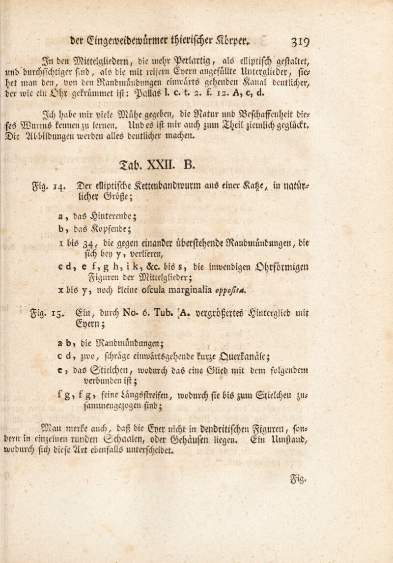 Sn ben §)littelg(ieöetn , bie mefyr ^erlürtig, ate elliptifc^ gehaftet, imb bttrdf>f?'d;ttcier fuib, a(e> bie mit reifem dpern angcffilite Unterbliebet, fte? I)et man ben, Don bett Stattbttumbtmgcn einfcirtö gc^enben $anal beutKdjer, bei4 wie ein ßl)t gefrummet ifl; ^ailcl6 L c. t. 2, £ 12. A, c, d. S$ fmk mir Diele SQlufje gegeben, bie Statur ttnb 93efcf;affen^cit bie? fed SBJurmS Sennen ju fernen, Unb e$ ifl mir auefj pm S^eit jtemlid; geglückt SDie 3IbWlbtmgen werben aüed beutKdjer madjjetu m xxii. b. grtg. 14. ®er eUipttfcfte Äetttnbanbwurm anß einer d\afeA in mtüp ticket ©rüge; a , baß Jginterenbcj b, baß ^opfenbe; 1 Uß 34, bie gegen einanöet ttberftrfjmbe Otanbmünbmrgen, bie fidfj bet) y, Derberen, ed, e f, g h, i k, &c. 6i$ s} bie inwenbigen- jOfytfottnigett Figuren ber SDJittefgfieber; xbid y, nod) Steine ofeuia marginalia oppoßta* giß» 15, Sin, burcf; No- 6/Tub. |A. bebgtdjjevteö Jgjinterglieb mit gpern; ab, bie ptmtbmfinbmtgetrj c d, p>o, fdjrage einw&rt$gefcenbe Su^e Öuerfättöle; e 3 ba6 @fie(d)en, mobnrcf; bad eine ©beb mit bau folgenbem Derfmnben ifl; f g, f g r feine iangdflreifen., woburd; fle biß pm ©Ueldjett p? fammengepgen- finb; SÜuitt werfe au<fy, i>a$ Me &)ev tric|t in öenbtififcfym Figuren, fon? fcern tn emjehien rtmben ©d)aalen, oöev ©et)äufetl liegen» @t» Utnfiaub, woburcf; fict) biefe ‘Ürt efceiifaltö unterfcljcibet. PS*