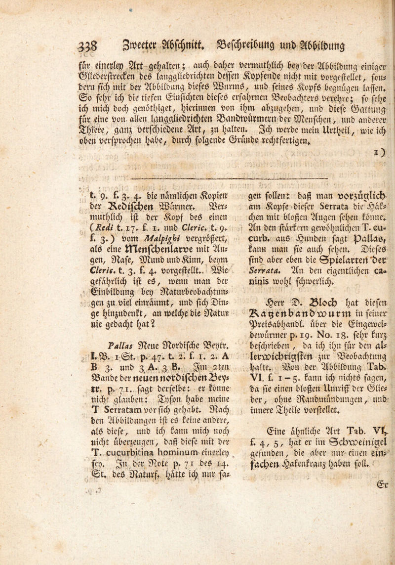 I v. v \ •' ”y f: 'W ,; •u .1 für mutkp %Xt gehalten.; aucfe bafeer fcermutfelicfe beirber 2lbbi(bung einiger ©fieberßreefen be£ IcmgöXtebrid^ten beffen Äopfenöe nicht mit borgefMet, fon? bern fid) mit ber 2lbbitbung biefeö 5Öurm£, unb feinet begnügen taffen» ©o fefer id) bie tiefen ©nftefeten biefec? erfahrnen Beobachter# bereferc; fo fefee id) miefe bod) genbtfeiget, feierlnnen bon ifem abzugefeen, unb biefe ©attung für eine bom allen langgbebrtd)ten 58anbttmrmern ber SDcenfcfeen, unb anberer Stetere, ganz berfefeicbene Strt^ m galten» gefe werbe mein Urteil, wie ic§- obeu berfprodjen feabe, burd; fotgenbe ©rünbe red;tfertigen* ' ) r , . •■ » •- ■. v t ■;/  - ■ - ' • t> 9» f. 3» 4» bie nSmtidjen Kopien ber J^ebijchen SEBürmer«- Ber? inutfefiefe ijj ber $opf be# einen (Redi 117» £ 1» unb Cleric. t* 9» £ 3») bom Malpighi bergrbßert, al# eine tnenfchenlanoe mit 2(u? gen, 9Zafe, Btunbunb^inn, betjm G/er/V. t* 3, £ 4» borgejMt». 9Bie gefüfertiefe iß e#, wenn man ber ©nbilbung bep Slaturbeobacfetun* gen bist einraumt, unb fiefe Sin? ge feinzubenft, an welcfeebie Statur nie gebadet feat? Pallas 3?eue 3?orbtfd)C Betßr» I.B* i-@t p. 47. t. äl £ 1» A B 3» unb 3 A. 3 B. gut 2ten. 83anbe ber neuen itorJufcbett 25e^? tt* p*. 7,i». fügt berfelbe: er fbnne nid): glauben: S&ofon feabe meine T Serratam bor fid) gehabt 9iad) ben 2ibbttbungen iß e# feine anbere, atö biefe, unb id) fann mid; ttod) nidjt überzeugen, baß biefe mit ber T. cucurbitina hominum-einerlei; fei)» gn ber Stofe p» 71 be# 14» ©£ beö. 3Jaturft feütte id; nur fa? *) gen fottetu baß man vot3upftd> am Äctpfe btefer Serrata bie gbaf? d;en mit btogen 2fugen fetten fbnne* 2fn ben ßarfern gewbfenlicfeen T. cu- curb. au# Rauben fagt Pallas, fann man fte and; fetten» Stefe# ftnb aber eben bie ©pielartenbet Serrata. 2ln ben eigentlichen ca« ninis wofei fd;wertid> $err S» 2Sloch feat biefett 2^ a g e n b a n b vo u tm in feiner ^)reibabfeanbt über bie ©ingewei? bewürmer p. 19» No» 18* fefer furj befd;rieben , ba xd) ifen für ben ab lenpidbagffen zur Beobachtung batte» Bon ber 2fbbUbung Tab» V£ £1-5» fann id) tiid)i$ fagen, ba fie einen btoßen Umriff ber @(ie? ber, ofene SRanbmünbunaen,. unb- tnnere 2!fecite borßeBet» ©ne Sfenlicfee 2(rt Tab» Vfr f. 4, 5, feat er im Scfotüemtgel gefunben, bie aber nur einen eirif faci;en ^.afenfranz feaben fotl».