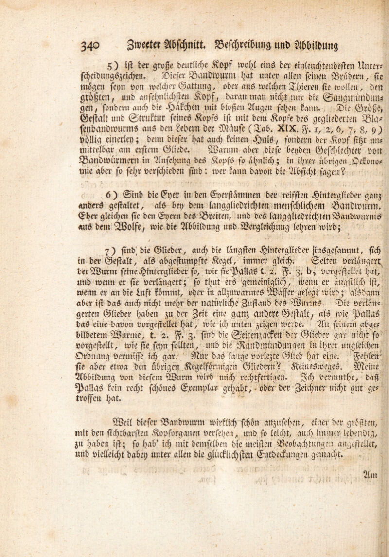 5 ) tft ber große beutlifye Äopf u>o^I eina ber eittleudßenbeßen Untere fdfjeibungajeithen* tiefer 33anbnmrm hat unter allen feinen Brübern, fie tnijjgen fet;n Don tveld;e| ©attung, ober aua welchen Spieren fie trollen, Den größten, unb atifefyüi&jften Äöpf, Daran man titelt nur Die ©augnumbitm gen , fonbern auch Die dbdfd)en mit bloßen klugen feigen famt* Sie @rofe, ©eßalt unb ©truffur feinea $opfa iß mit Dem $opfe bea geglieDerten SÖla^ fenbanbwurma aua Den Gebern Der SDJdufe (2ab* XIX4 g* i, a, 6, 7, 8, 9) Völlig einerlei); Denn biefer hat and; feinen Jpalg, fonbern ber Äppf fift um mittelbar am erßem ©liebe* Sßanttn aber biefe bepben ©efd)letzter Don S5anDn)ürmern in 2fnfchnng bea ^opfo fo ähnlich; in ihrer übrigen ,Ocfono* tnie aber fo fe^r verfdßeben finb: wer fann Davon Die %bfid)t fagett? 6 ) ©mb Die Sper tu Den ©perßamnten ber retfßen ^interglieber gan$ anbera geßaltet, ala bep Dem langglteDridbten menfchltchem Q3anbn>urm* ©het: gletdjen fie Den ©pern bea Greifen, unb bea lunggliebrichienBaubmurma aua Dem Slöolfe, wie bte 2(bbtlbung unb Begleichung lehren wirb; v * i 7) finfr bte ©lieber, auch bte langßen $interglieber fmagefammt, fich in ber ©eßalt, alä abgcßumpfte $egcl, immer gleich* ©eiten verlängert, Der SBurnt feine Jjinterglieber fo, tote ße^allaa t 2. 3* b, vorgeßellei hat, unb wenn er fie verlängert; fo tlrut era gemeiniglich, tvemt er dirgßtid) iß, wenn er an Die iuft fömmt, ober in all^uwarmea 2Baßer gelegt wirb; dtöbann aber iß baa auch nicht mehr ber natürliche ^ußanb bea BJurma* Sie verldtr? gerten ©lieber haben ju ber geit eine ganj anbete ©eßalt, ala rote ;J3ai.!aa baa eine Davon Vorgeßellet hat, wie ich unten geigen werbe* 2fn feinem gbge? bilbetem BJitrmc, t 2* $*3* fmb Die (©ertenjaefen Der ©lieber gar mein fo vorgeßellt, tote fie fepn feilten , unb bie 9vanbrnünbungen in ihrer ungletd>en Örbmtng Verntiffe ich gar/ iftur baa lange Vorlejte ©lieb hat eine* Je^letr fie aber etwa Den übrigen ÄegelßSrmigett ©Itebtrh? Äemeawegea* beeilte 2lbbilbttng Von btefent Söitrm wirb mich rechtfertigen* cJd) vermutet, baß %\im fein recht fcfjdnea ©remplar gehabt, ober ber Zeichner nicht gut gc* troffen hat* 5®ctl biefer Banbwttmt wirflich fdjbn anjitfehen, einer ber größten, mit ben fidvtbarßeit .Sopförganen verfemen, unb fo leicht, auch immer lebenOig, $u haben iß; fo hab’ ich mit bemfelben bie nteißen Beobachtungen angeßeilet, unb vielleicht babep unter allen bie glücfltchßen ©ntbeefungen gemacht*