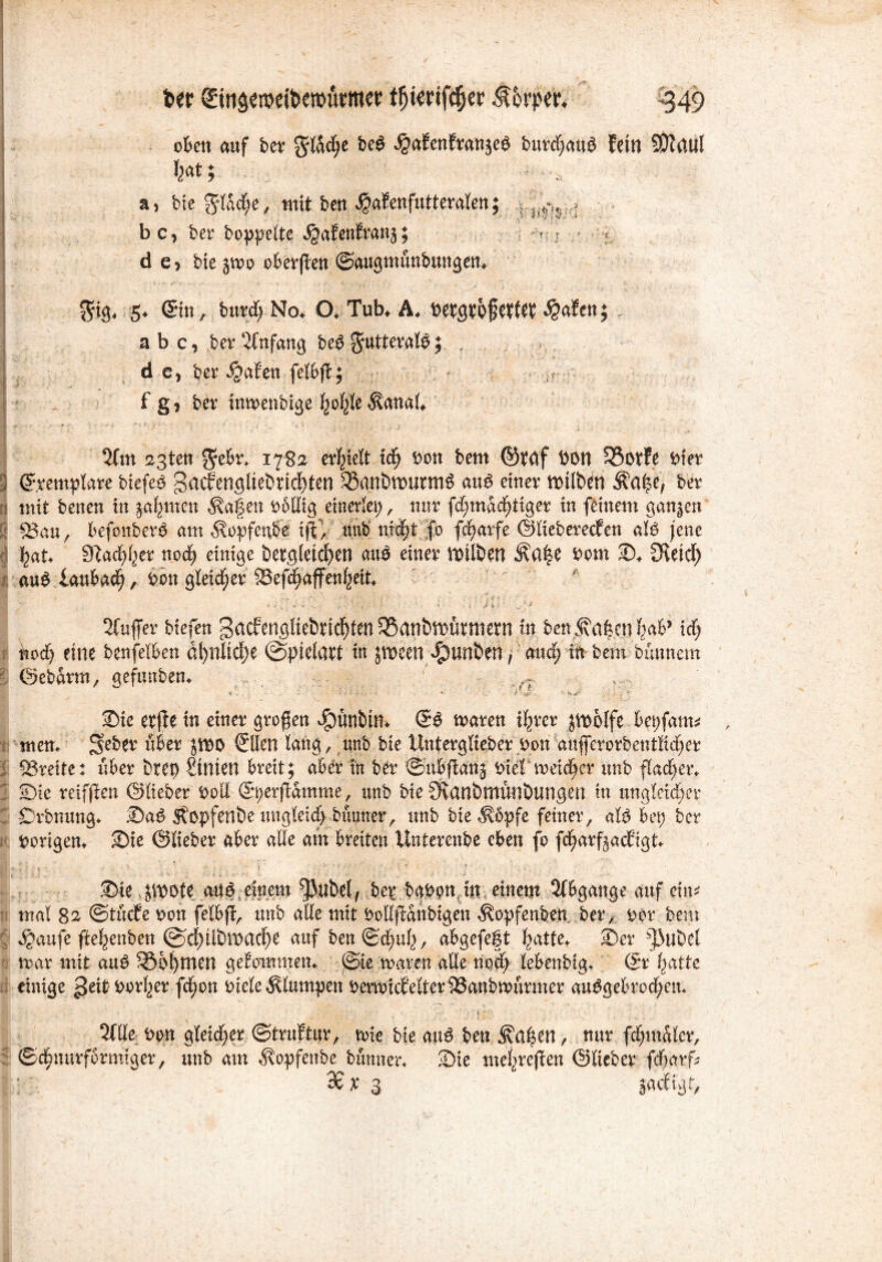 fcer <£in$weit>eroürmer ffjierifcfjer Körper. <349 ofcett auf bet g-(ac[;c be$ ^afcnftattjeö butd;auö fein SDfdul %«*} a, bie ^lacfje, mit beti Jjafenfutteralcn; nt^s , bc, bet hoppelte jgafenfranj; ^ : < d C) bie 5tt)o o&erflen ©augmunbmtgen* $ig* 5* ©n, butd; No* O* Tub* A* betgvofetfW $a?cn; a b c, bet Anfang be3 guttetafö; , de, bet $afen felbjl; f g, bev itm>enbige fyofye $anal* 5(m agten $ebr* 17-82- erlieft ldj bott bem ©?af bon 33otfe biet ©template biefeö 3aclengliebrtd)ten 33ant>tt>utmÄ au$ einer Silben $age, bev mit benen in jafemen $agen bbllig einerlei) , nur (ermächtiget in feinem ganzen £3au, befonberä am $opfcnbe tjV, unb nicht fo fchatfe ©Bebereefen aU jene hat* Nachher noch einige betgletdhen an$ einet toilben $ßge bem S* fJleicf) au£ iaubach, bon gleichet 33efd)affenheit* . -•. . ;, • ? >. ' i ’Jl. ■ .. y 2Cuffer biefen gacfengftebrichfe« $8anbftümtern in be« Stig.cn h^* ich noch eine benfelben dl)nltd)e ©pielatt in jmeen ^ttnben, and; in bem bünnem ©ebarm, gefunben* Sie et(le in einet großen $ünbtn* ©6 maten %et jmblfe bei;fam* men* Sebet übet jmo ©Ben lang, unb bie ünterglieber bon aufferorbentBd;er ®reite: über bret) hinten breit; aber in bet ©ubffatij bief toeidjer unb flachet* Sie reiffien ©liebet boll ©t;erfiamme, unb bie ^vanbmunbimgen in tmgle!d;ev Drbnung* Sa^ Äopfenbe ungleid; bannet, unb bie ^öpfe feinet, aU bei; bet hörigen* Sie ©liebet aber alle am breiten Unterenbe eben fo feharftaefigt* Sie^VDDte an S ein ent Q3llbet, bei babpnjneinem Sfbgange auf ein* mal 82 ©tücfe bon felbff, unb alle mit bollftanbtgen Äopfenfetn. bet, bot bem *§aufe ffehenben @d)Üt)n)acl)e auf ben©d;uh, abgefegt hatte* Set dMibcl mar mit au$ £5o£)men gekommen* ©te mgten alle nod; lebenbig* ©t hatte einige geifc botf;et fchon biele klumpen bermicfelter^aabmürmer au£gebrod;en* , • ■ • v 6 a > 5(1le bon gleicher ©truftut, roie bie au£ ben Zeigen, nut fd;maler, ©chnutfbtmiget, unb am ^xopfenbe bannet* Sie mehreren ©liebet fdfjatf* 3c x $ jaeftgt.