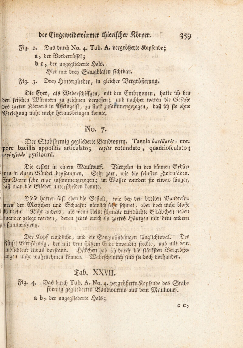 $ig* 2+ Sa3 burdEj No. 4. Tub. A. betgtofette Äepfenbe j a , ber ^Borberruffet; b c, ber ungegKeberte $ate* ^?ier nur brep ©augbtafen fid)tBar* gug. 3- £*et) ^tmetgliebet, in gleitet 33etgto§etungv Sie €pet; ate 2Öe6erfd;tffgen, mit ben ^mbrponen / featte tef; Bei) ! ben'frife^en SEBimncrn 51t ^eid^ien fcergejjen; tmb nacb^er maren bie ©efdße :be£ garten $6rper£ in ©eingeifl:, $u (farf äufathmengeäogen, ba$ xd) fie o^ne Verlegung nid;t tnetjr ^eraugluingen formte* - 7 ; ‘ : i '  1 , ? ' No. 7. ©et ©tabfotmig gegfiebevte S5anbtt>ttttt|* Taenia bacitUris ? cor- pore baciliis appofitis articulato; caf ite rotundato , quadriofeuiato j prohofeide pyrifbrmi. Sie erffen in einem SJfaufWurf; SBietjetyn in ben bannen @ebdr : men in einem £3unbet Bepfgmmen* ©efir j-art, nne bie fein (len gnoirnfSbcm femSarm fc^r enge gitfammengegogen; im pßafler mürben fie etwa# tanger, pd£ man bie ©lieber unterfdjei&en Sonnte* ' Siefe fjatten faff eben bie ©ejlalt, nne Bet) ben breiten 93anbmtr* Mnerm bev 93Senfd/en nnb ©diaafe: namlid; fefr febma!, aber bed) 1 nid;t btojle ,j Runjelnv Seicht anbettf, afö rnenn Heine fd>rriaCe runblicf)te @tdb#en neben $, inanber gelegt werben,. bereu jebeg bnrd; ein ^arteg Jjdutgen mit bem anbern p ufaimnenlueng* Ii v _ ■ Ser d\opf nmbKd)t, nnb bie ©angtmmbnugen IdngK^tobal. Ser Rufe! SBtrnfbrmig, ber mit bem fpt|em @tibe turnenbig fieefte, nnb mit bem |mbftd)tenr etmag borffanb* $dfd>en fmb xd) burefy bie fidrfflen $8ergr6$e* äugen tüd)t ma^rne^men fbnnen. ÖSalpfc^eintid; finb fxe bod; borI>anbetn iü IH ,-} , ■> ''j. |T m xxvii. 4, Sa3 bnrd> Tub* A. No. 4, betgtofetfc Äopfenbe be3 ©tab* fbmns geglieberten ^mibfontmg m$ bem Sßawtoutf. a by ber ungegtieberte SgaW * I* li'ä! C C1
