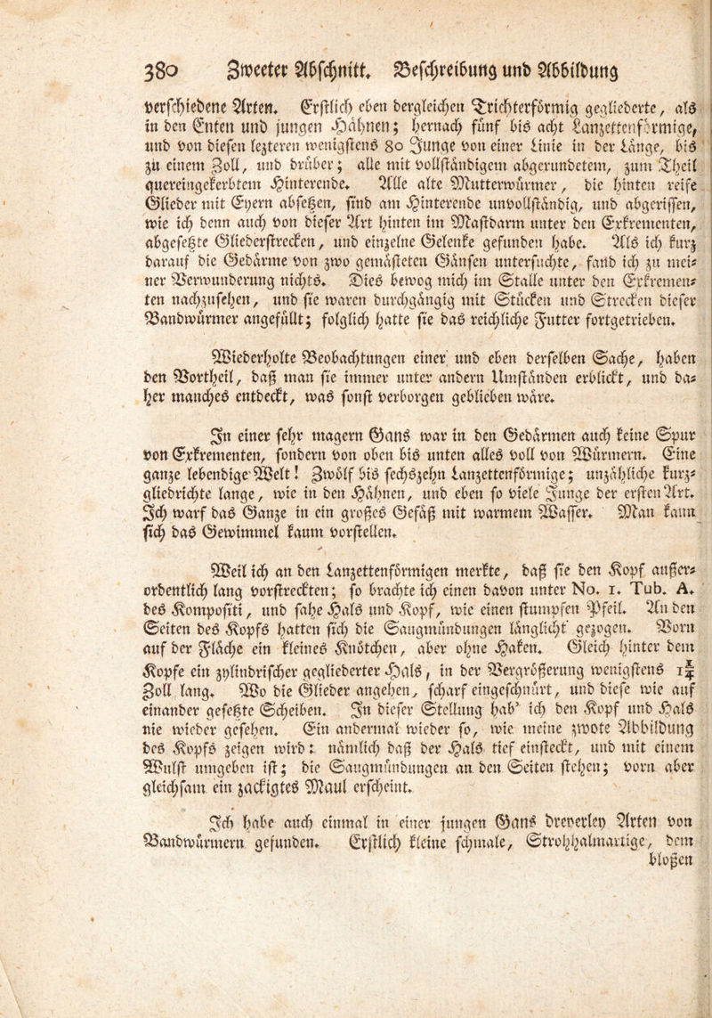 t)crf^teöene Sitten* ©tfflid) eben Dergleichen ^ttcftfetfbtmtg geglieberte, aU in Den Entert unb jungen dpaljnen; feernadj fünf btö ad;t £anjeftenf5tmfgef unb Don Dießen festeren mentgffen£ 80 3>un,ge Don einer lütte in ber lange, b\$ ju einem e3oü, unb Drüber; alle mit Dollffünbtgem abgenmbetem, jum Streit guereütgeferbtem djtnterenbe* Stile alte SDfutterroürmer, bie hinten reife ©lieber mit ©t;ern abfegen, fxnb am ^interenbe unboflffünbig, unb abgcrijfen, mie xd) benn aud; Don biefer SCrt hinten tm Vtaffbarm unter ben ©xfrementen, abgefef te ©lieberffrecfen, unb einzelne ©elenfe gefunben habe* St1$ xd) ?ur§ Darauf bie ©ebdrme Don -poo gemaffeten ©außen unterfudjte, fattb xd) 31t meb ner Vemuutberung ntd)t$* 2)ie*3 bernog mid) im ©talle unter ben ©pfremens ten nad^ufebett, unb fte rnaren burdjgangtg mit ©tücfett unb ©treefen biefer Vanbtvürmer ungefüllt; folglid; batte fte ba£ reichliche Jutter fortgetrieben* 5EBieberholte ^Beobachtungen einer unb eben berfelben ©adje, l^abcn ben Vorteil, baß man fte immer unter anbern Umffanben erblicf’t, unb bas her mand;e$ entbeeft, ma£ fonft verborgen geblieben \vdre* S« einer fef^r magern ©an$ mar in ben ©ebdrnten auch feine ©pur Don ©pfrementen, fonbern Don oben biö unten alleö Doll Don Sßurmern* ©ine gan^e lebenbtge'Sßelt! gmblf bB fed^öjd^n lanjettenfbrmige; unjdlfltd^e fux%* güebric^te lange, wie in ben Sgdhnen, unb eben fo Diele Sunge ber erftenStrt* Sch marf ba$ ©an5e tn ein großem ©efaß mit warmem 2Sajfer* SDtan famt fxd) ba£ ©ewimmel faum Dorffellen* yC - ' * SBetl ich an ben lanjettenfbrmigen merfte, baß fte ben $opf außer* orbentltc^ lang Dorffreef ten; fo brachte ich einen baDon unter No* i* Tub* A* be£ ^ompofttt, unb fa^e 4?afö unb $opf, wie einen ßmnpfen’Pfetl* Stuben ©eiten be3 $opf$ Ratten ftd> bie ©augmtmbungen ldnglid;t gejogett* Vorn auf ber glad;e ein fleint$> $nötd?en, aber ohne djafen* ©leid) (unter beut $opfe ein ^Itnbrifcber geglieberter Jbafö, in ber Vergrößerung wentgffenö i| goll lang* 5Bo bie ©lieber angeben^ fdbarf eingefebnurt, unb biefe tote auf einanber gefegte ©djetben* Sn biefer ©tellung bab* xd) ben $opf unb $al£ nie wieber gefeben* ©in anbermal rnieber fo, wie meine jwote Sibb Übung bc3 $opfö geigen wirbt nämlich baß ber Jgafö tief etnffeeft, unb mit einem Sßulff umgeben iß; bie ©augmünbungett an. ben ©eiten flehen; Dorn aber gletcbfam ein jacftgteS SDJaul erfdjeint* Sd) habe and) einmal in einer jungen ©an£ brettertet) Sitten Don SSanbwurmem gefunben* ©tjtiicf) fletne fd;male, ©trobbnlmartige, bem bloßen