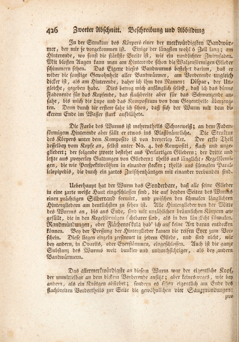 Sn ber ©truftur beb korperb einer ber metfttmtbtgßen 533anbtt>ür^ tttet/ ber mir je Porgefommen iß* ©mge ber Idngßen 6 lang; am $interenbe, mo fonß bie ßdrfße SSreite tß, n>te ein runbltdßer >?mirnfabetu 9Jttt bloßen klugen Samt man am $interenbe fd;on bie ®aljcnförmtgen ©lieber flimmern feiern Sab Eigene biefcb 83anbmtrmb befielet bartmt, baß er nnber bte fonßtge ©emoßnßeit aller 83anbtamrmer, am SBorberenbe ungleich btcfet iß, alb am ^interenbe, baßer id; ißm beit 9tametr: Difpar, ber Un* gleiche, gegeben ßabe* Sieb betrog mtd; anfdngtid; fclbß, baß td; bab btiune gabenenbe für bab kopfenbe, bab ßadfjbreite aber für bab ©eßmanpenbe an? faße / bt$ tmcf) bte ittpe unb bab kompoßtum bon bem ©egentßeile überpeug? tem Senn burd; bie erßere ftd;c icß fd;on, baß ßeß ber SÖuvin mit bem bi? eferern ©nbe im SBajfer ßarc aufbldßete*. Sie $arbe beb SBttrmb iß meßrentßeiB ©jfjneemetg; van bem^aben? fSrmfgem ^mterenbe aber fdllt er ctmab inb Slaßbrdunlicße* Sie ©tmEtnr beb körperb unter bem kampoß'to iß bon bm;erlet; 2frt Ser etfie i£ßetl beffclbctj Pom köpfe an, fetbß unter No* 4. bebkompofttt, ßad; unb unge? gfiebert; ber folgenbe jweefe beßeßet aub ^)erfartigen ©liebem; ber britle unb legte aub pmeperlep ©attungen Pon ©liebem: tßetB aub ianglid;t? kegelfornti? gen, bie rote ^erfpefttPröß‘ren in einanber ßccf’en; tßrfB aub fd;malen sparafe JeBpipebib, bte burd; ein parteb sJ^f^tt^utgen wit einanber Perbunben (mb* Ueberßaupt ßat ber 393urm bab ©Bn&etbatt, baß alle feine ©lieber in eine parte meiße $ant etngefdßoßen ß'nb, bie auf bepben ©eiten beb2Bim1tb einen prddßtgen ©tlbettanb formirt, unb pmtfeßen ben fd;ma!en Idnglicßten Jjintergliebem am beutlid;ßen 5« feßen iß*. 2flle Jjtntcrgiicber Pott ber Satte beb QÖnrmb an, bib anb ©ube, ftnb mit unpäßlichen bratmlid;en Körpern an? gefüllt, bte in ben kegelförmigen fd;tbarer ßnb, aB in ben Idngl'cbt fdmtaletu ^anömünbungen r ober §ldc|enoffula ßab’ id; auf feine 2frt baran entbeefen' fönnem 23ei) ber ^Jreßung ber ^intergOeber ftarnen bte reifen ©per pinn 33or? feßeim Stefe liegen einpeln perßrettet in jebem ©liebe, unb ftnb nicht, mie bet; anbern, in D^artit5, ober ©perßdmmen, emgefdßoffcm ifud; iß bie ganpe ©ubßanp be6 5Burmb weit bunfler unb unburd;ßcl;,ttger, alb bet; .anbern 83anbmurmern^ Sab allermerfmütbigffe an biefent SÖnrm. mar ber eigentlicße köpf ^ er unmittelbar an bem btefem SJorberenbe anftgt; aber feinebmegeb, mie bet; anbern, aB ein knötgen abßeßet; fonbent eb ft|ett eigentlid; am ©nbe. beb fad;bretten. SSorbertßeiB pur ©eite bie gcmölinlußen inet ©augpiunDungen: