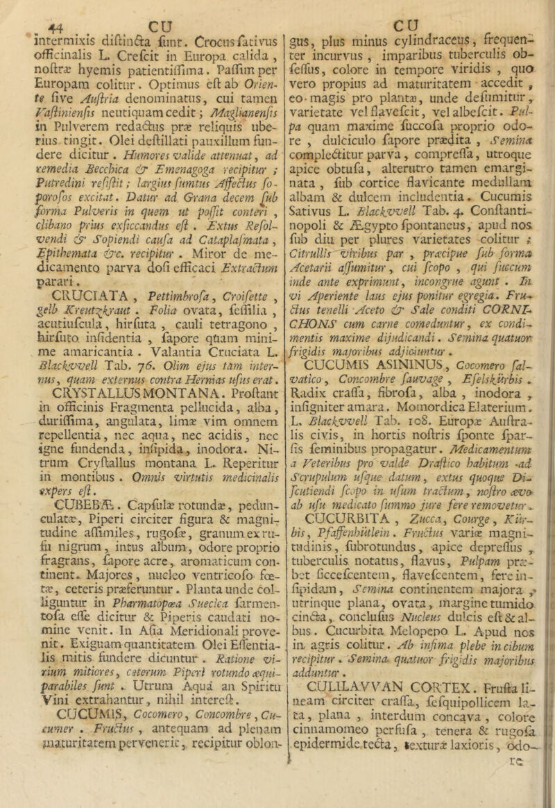 intermixis diftinda funt. Crocnsracinis officinalis L. Crefcit in Europa calida , noftra: hyemis patientilfima. PaiEmper Europam colitur. Optimus eft ab Orien- te five Aujiria denominatus, cui tamen Fajiinienfis neutiquam cedit; /Idaglianenfu in Pulverem redadus pr^e reliquis ube- rius tingit. Olei deftillati pauxillum fun- dere dicitur . Humores valide attenuat, ad remedia £ecchica & Emenagoga recipitur ; Putredini refiflit: largius fumtus Affectus fo- pQYofos excitat. Datur ad Grana decem fub fmma Pulveris in quem ut polfit conteri , clibano prius exftccandus ejl . JExtus Refol- vendi & Sopiendi caufa ad Cataplajmata , Epithemata ^c. recipitur . Miror de me- dicamento parva doli efficaci Extractum parari. CRUCIATA , Pettlmbrofa, Croifette , gelb Kreuti^kraut . Folia ovata, feifilia , acutiufcula, hirfuta , cauli tetragono , hirfuto. infidentia , Tapore qtiam mini- me amaricantia . Valantia Cruciata L. Blackfvvell Tab. jS. Olim ejus tam inter- nus, quam externus contra Hernias ufus erat. CRYSTALLUS MONTANA. Proliant in officinis Fragmenta pellucida, alba, duriffima, angulata, limse vim omnem repellentia, nec aqua, nec acidis, nec igne fundenda, infipida, inodora. Ni- trum Cryfiallus montana L. Reperitur in montibus . Omnis virtutis medicinalis expers ejl. CUBEBAl. Capfula? rotundae, pediin- culata;. Piperi circiter figura & magni- tudine afiimiles , rugofe, granum ex ru- fii nigrum, intus album, odore proprio fragrans, iapore acre, aromaticum con* tinent* Majores , nucleo ventricofo foe- t<T, ceteris prasferuntur. Planta unde col- liguntur in Pharmatopcea Suecica farmen- tofa efie dicitur & Piperis caudati no- mine venit. In Afia Meridionali prove- nit. Exiguam quantitatem Olei Effentia- iis mitis fundere dicuntur. Ratione vi- rium mitiores, C3teru7n Piptrl rotundo icqni- parabiles funt Utrum Aqua an Spiritu Vini extrahantur, nihil intercll. CUCUMIS, Cocomero, Concombre ,Cu- cumer . Frubius, antequam ad plenam maturitatem pervenerit, recipitur oblon- gus, plus minus cylindraceus, frequen- ter incurvus , imparibus tuberculis ob- feffus, colore in tempore viridis , quo vero propius ad maturitatem accedit , eo-magis pro plantai, unde defumitur, varietate vel flavcfcit, velalbefcit. Pul- pa quam maxime fuccofa i>roprio odo- re , dulciculo Tapore prasdita , Semrna complectitur parva, comprefla, utroque apice obtufa, alterutro tamen emargi- nata , Tub cortice flavicante medullam albam & dulcem includentia. Cucumis Sativus L. Elackjvvell Tab. 4. Conflanti- nopoli & iEgypto Tpontaneus, apud nos Tub diii per plures varietates colitur Citrullls viribus par , prxcipue fub forma Acetarii ajfumitur, cui [copo , qui jiiccum inde ante exprimunt, mcongrue agunt . Ia vi Aperiente laus ejus ponitur egregia. Fru- ttus tenelli -Aceto Sale conditi CORNZ* CHONS cum ca-rne comedirntur, ex condi- ' mentis maxime dijudicandi. Semina quatuor 1 frigidis majo-ribus adjiciuntur • 1 CUCUMIS ASININUS, Cocomero fal- vatico, Concombre fauvage , Ej'elsk.urbis . Radix crafla, fibroTa, alba , inodora , infigniter amara. Momordica Elaterium. L. Blackfvvell Tab. 108. Europa: Auflra- lis civis, in hortis nofiris fponte Tpar- fis Teminibus propagatur. Medicamentum a Veteribus pro'valde Draflico habitum -ad So'upulum ufque datwn, extus quoque Di- fcutiendi fcopo in ufum tracium, rvojlro aevo ab ufu medicato fummo jure fere removetur ^ CUCURBITA, Zucca, Courge, Kur- bis, Pfaffenbutlein. Fruclus varice magni- tudinis, Tubrotundus, -apice depreflus , tuberculis notatus, flavus. Pulpam pra’- j bet GcceTcentem, flavefcentem, fere in- 1 fipidam. Semina continentem majora ^ utrinque plana, ovata, margine tumido ic cinda,. conclufus Nucleus dulcis efl & al- - bus. Cucurbita Melopepo L. Apud nes 1 ia agris colitur. Ab infima plebe in cibum i recipitur. Semina, quatuor frigidis 7najoribns 1 adduntur . CULILAVV^AN CORTEX. Frufta li- neam circiter crafla, Te fquipollicem la- ; ta, plana , interdum concava , colore cinnamomeo perfufa , tenera & rugofa .< epidermide.teda, textur± laxioris, odo- ;