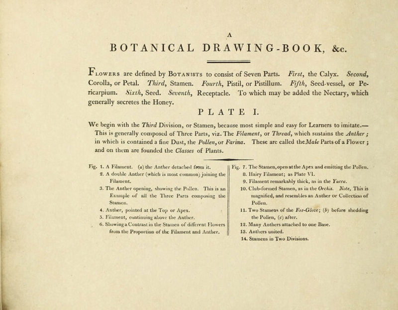 BOTANICAL DRAWING-BOOK, &amp;e F Lowers are defined by Botanists to consist of Seven Parts. First, the Calyx. Second, Corolla, or Petal. Third, Stamen. Fourth, Pistil, or Pistillum. Fifth, Seed-vessel, or Pe- ricarpium. Sixth, Seed. Seventh, Receptacle. ‘To which may be added the Nectary, which generally secretes the Honey. Bob AT Ee. We begin with the Third Division, or Stamen, because most simple and easy for Learners to imitate.— This is generally composed of Three Parts, viz. The Filament, or Thread, which sustains the Anther ; in which is contained a fine Dust, the Pollen, or Farina. These are called the Male Parts of a Flower ; and on them are founded the Classes of Plants. Fig. 1. A Filament. (a) the Anther detached from it. Fig. 7. The Stamen, open atthe Apex and emitting the Pollen. 2. A double Anther (which is most common) joining the 8. Hairy Filament; as Plate V1. Filament. 9. Filament remarkably thick, as in the Yucca. 3. The Anther opening, showing the Pollen. This is an 10. Club-formed Stamen, as in the Orchis. Note, This is Example of all the Three Parts composing the magnified, and resembles an Anther Or Collection of Stamen. : Pollen. 4. Anther, pointed at the Top or Apex. : 11. Two Stamens of the For-Glove; (b) before shedding 5. Filament, cuntinuing above the Anther. the Pollen, (c) after. 6. Showing a Contrast in the Stamen of different Flowers 12. Many Anthers attached to one Base. from the Proportion of the Filament and Anther. 13. Anthers united. 14. Stamens in Two Divisions.