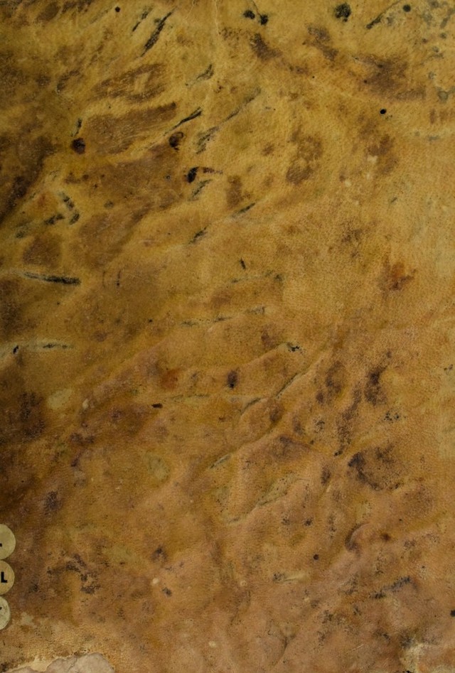 digitised image 1