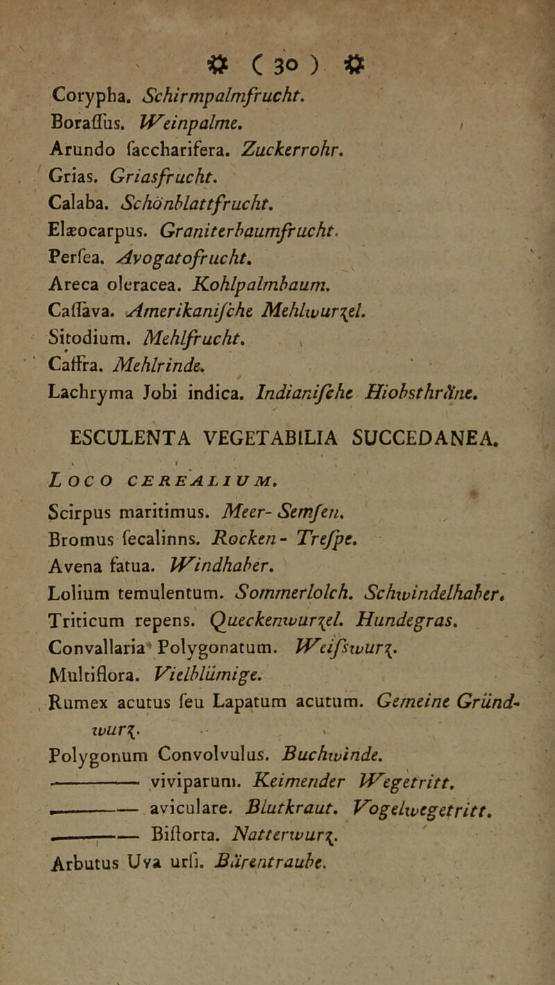 Corypha. Schirmpalmfrucht. Boraflus. IVeinpalme. i Arundo faccharifera. Zuckerrohr. Grias. Griasfrucht. Calaba. Schonhlattfrucht. Elajocarpus. Graniterhaumfrucht. Perfea. Avogatofrucht. Areca oleracea. Kohlpalmbaum. Caflava. Amcrikanifcht Mehliuur\d. Sitodium. MehLfrucht. , CalFra. Mehlrinde. Lachryma Jobi indica. Indianifeht Hiohsthrttnc, ESCULENTA VEGETABILIA SUCCEDANEA. i I Loco CEREALIUM, Scirpus maritimus. Meer- Semfen. Bromus fecalinns. Rocken- Trejpe. Avena fatua. JVindhaber. Lolium temulentum. Sommerlolch. SchtvindeLhaber, Triticum repens. Quecktmvur\eL Hundegras, Convallaria' Polygonatum. bVeifsxvur\. Multiflora. Vielbldmige. . Rumex acutus feu Lapatum acutum. Gemeine Griind^ tvur^. Polygonum Convolvulus. Buchivinde. viviparum. Keimerider Vf^egetritt. m aviculare. Biutkraut. VogeLxvtgetritt. — Biflorta. 'Natttnvar\. Arbutus Uva udi. Burentraube.