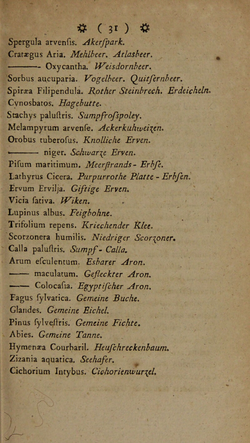 ^ ( 30 <5^ Spergula arvenfis. ^kerfpark. Crarzgus Aria. Mehlheer^ Atlasbeer. Oxycantha.* Vf^eisdornheer. Sorbus aucuparia. Vogelheer. Quitfernheer. Spirsea Filipendula. Rother Steinhrcch. Erdeichdn, Cynosbatos. Hagebutte. Stachys paluftris. Sumpfrofspoley. Melampyrum arvenfe. Ackerkuhivei'{en. Orobus tuberofus. Knolliche Erven. • niger. Schvarie Erven. Pifum maritimum. Meerflrands - Erbfe. Lathyrus Cicera. Purpiirrothe PLatte - Erbfen. Ervum Ervilja. Giftigc Erven. Vicia fativa. JViken. . ' Lupinus albus. Feighohne. Trifolium repens. Kriechender Klee. Scorzonera humilis. Niedriger Scor‘{oner» Calla paluftris. Sumpf - Calla. Arum efculentum. Esbarer Aron. - —' maculatum. Gefleckter Aron. • Co]oca^i2. Egyptijcher Aron. Fagus fylvatica. Gemeine Buche. Glandes. Gemeine Eichel, Pinus fylv^ris. Gemeine Fichte. - Abies. Gemeine Tanne. ^ ' Hymenjca Courbaril. Heufchreckenbaum. Zizania aquatica. Seehafer. Cichorium Intybus. Cichorienivur^el.