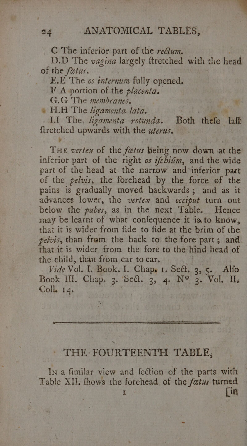 C The inferior part of the reélum. D.D The vagina largely ftretched with the head of the fvtus. E.E The os internum fully opened. F A portion of the placenta. G.G The membranes. ¥ * H.A The Ligamenta. lata. sot a 1.f The, gamenta rotunda. Both thefe laf itretched upwards with the uferus. e | THE vertex of the fetus Being now down at the inferior part of the right os z/chidim, and the wide part of the head at the narrow and inferior part of the pelvis, the forehead by the force of the pains is gradually moved backwards; and as it advances lower, the vertex and occiput turn out below the pubes, as in the next Table. Hence -may be learnt of what confequence it isto know, that it is wider from fide to fide at the brim of the pelvis, than trem the back to the fore part; and that it is wider from the fore to the hind head of the child, than from ear to ear. Vide Vol. 1. Book. I. Chaps 1. Se. 3, 5-. Alfo Book II. Chap. 3 - Sect. 3, 4. N° 3. Vol. I. Colk 14.0 | THE- FOURTEENTH TABLE; In a fimilar view and feétion of the parts with — Table XII. thows the rain of the fetus turned I Lin