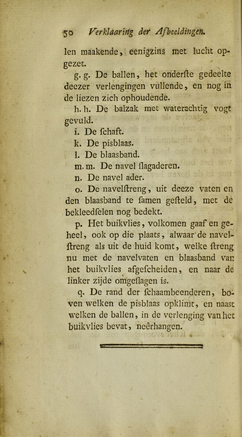 len maakende, eenigzins met lucht op- gezet. g. g. De ballen, het onderlte gedeelte deczer verlengingen vullende, en nog in de liezen zich ophoudende. h. h. De balzak met waterachtig vogt gevuld. i. De fchaft. k. De pisblaas. , 1. De blaasband. m. m. De navel flagaderen. n. De navel ader. o. De navelllreng, uit deeze vaten en den blaasband te famen gefield, met de I bekleedfelen nog bedekt. p. Het buikvlies, volkomen gaaf en ge- heel, ook op die plaats, alwaar’de navel- llreng als uit de huid komt, welke flreng nu met de navelvaten en blaasband van het buikvlies afgefcheiden, en naar de « linker zijde omgeflagen is. q. De rand der fchaambeenderen, bo- ven welken de pisblaas opkliint, en naast welken de ballen, in de verlenging van het buikvlies bevat, neerhangen.
