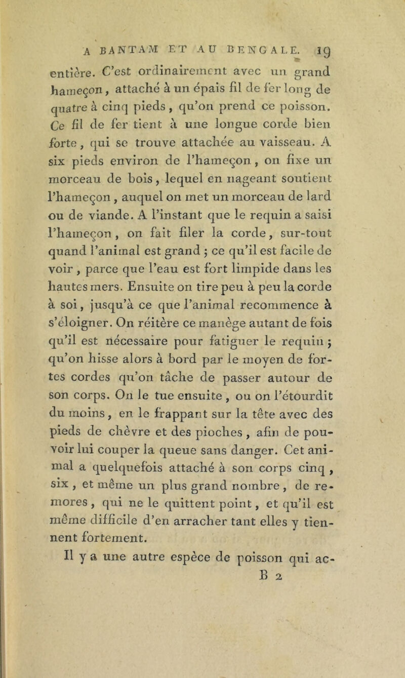 entière. C’est ordinairement avec un grand hameçon, attaché à un épais fil de fer long de quatre à cinq pieds , qu’ori prend ce poisson. Ce fil de fer tient à une longue corde bien forte, qui se trouve attachée au vaisseau. A six pieds environ de l’hameçon, on fixe un morceau de bois, lequel en nageant soutient l’hameçon , auquel on met un morceau de lard ou de viande. A l’instant que le requin a saisi l’hameçon , on fait filer la corde, sur-tout quand l’animal est grand ; ce qu’il est facile de voir , parce que l’eau est fort limpide dans les hautes mers. Ensuite on tire peu à peu la corde à soi, jusqu’à ce que l’animal recommence à s’éloigner. On réitère ce manège autant de fois qu’il est nécessaire pour fatiguer le requin $ qu’on hisse alors à bord par le moyen de for- tes cordes qu’on tâche de passer autour de son corps. On le tue ensuite , ou on l’étourdit du moins, en le frappant sur la tête avec des pieds de chèvre et des pioches , afin de pou- voir lui couper la queue sans danger. Cet ani- mal a quelquefois attaché à son corps cinq , six , et même un plus grand nombre , de re- mores , qui ne le quittent point, et qu’il est même difficile d’en arracher tant elles y tien- nent fortement. Il y a une autre espèce de poisson qui ac- B 2