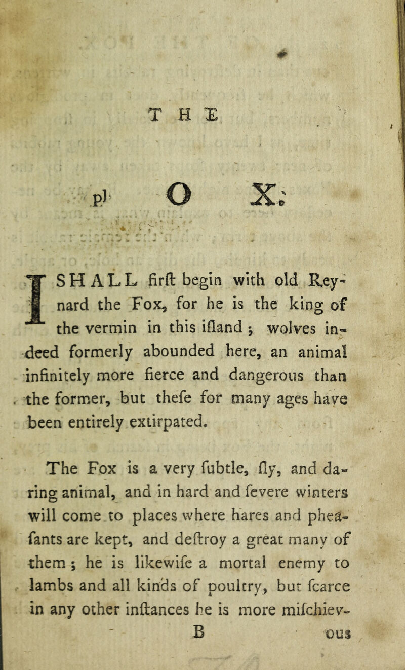 r) O X. 1 SHALL fir ft begin with old Rey- nard the Fox, for he is the king of the vermin in this ifland *, wolves in- deed formerly abounded here, an animal infinitely more fierce and dangerous than the former, but thefe for many ages have been entirely extirpated. The Fox is a very fubtle, fly, and da- ring animal, and in hard and fevere winters will come to places where hares and phea- fants are kept, and deftroy a great many of them ; he is likewife a mortal enemy to lambs and all kinds of poultry, but fearce in any other inftances he is more milchiev- B ous
