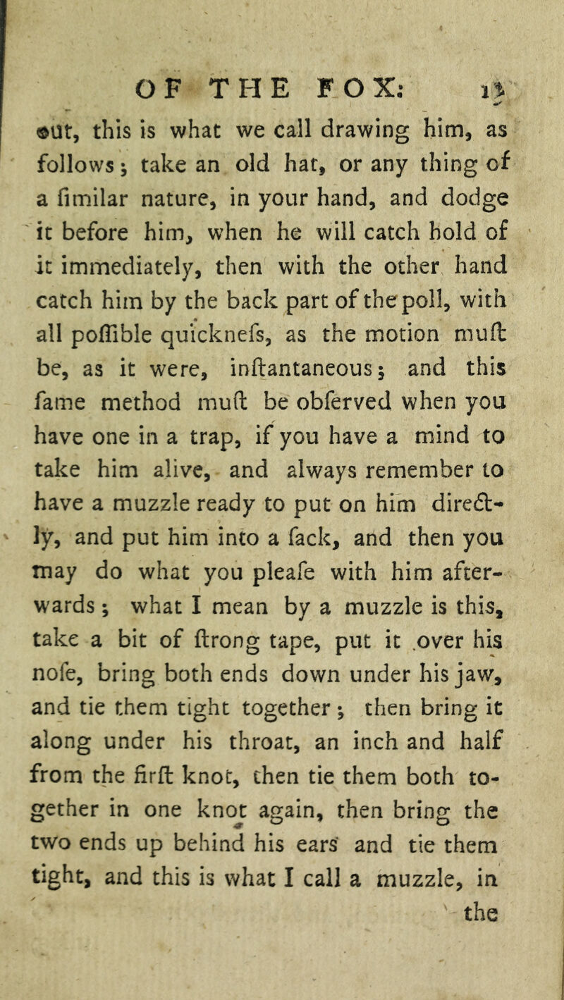 ©Ut, this is what we call drawing him, as follows; take an old hat, or any thing of a fimilar nature, in your hand, and dodge it before him, when he will catch hold of it immediately, then with the other hand catch him by the back part of the poll, with all poffible qu'icknefs, as the motion tnufl be, as it were, inftantaneous; and this fame method mud be obferved when you have one in a trap, if you have a mind to take him alive, and always remember to have a muzzle ready to put on him diredt- ly, and put him into a fack, and then you may do what you pleafe with him after- wards ; what I mean by a muzzle is this, take a bit of flrong tape, put it over his nofe, bring both ends down under his jaw, and tie them tight together ; then bring it along under his throat, an inch and half from the firft knot, then tie them both to- gether in one knoj: again, then bring the two ends up behind his ears' and tie them tight, and this is what I call a muzzle, in
