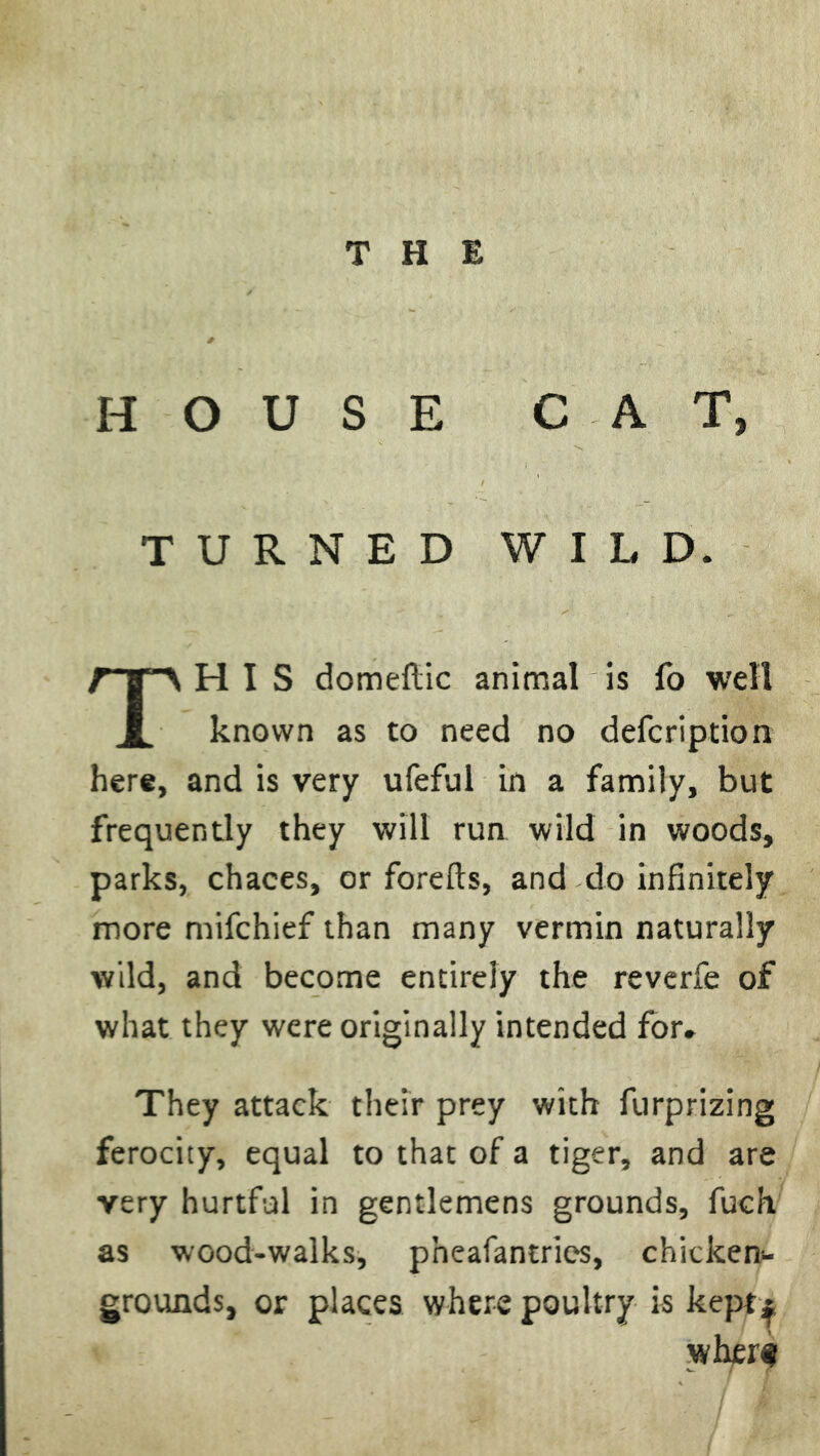 HOUSE CAT, TURNED WILD. HIS domeflic animal is fo well 1 known as to need no defcription here, and is very ufeful in a family, but frequently they will run wild in woods, parks, chaces, or forefts, and do infinitely more mifchief than many vermin naturally wild, and become entirely the reverfe of what they were originally intended for. They attack their prey with furprizing ferocity, equal to that of a tiger, and are very hurtful in gentlemens grounds, fuch as wood-walks, pheafantries, chicken* grounds, or places where poultry is kept j