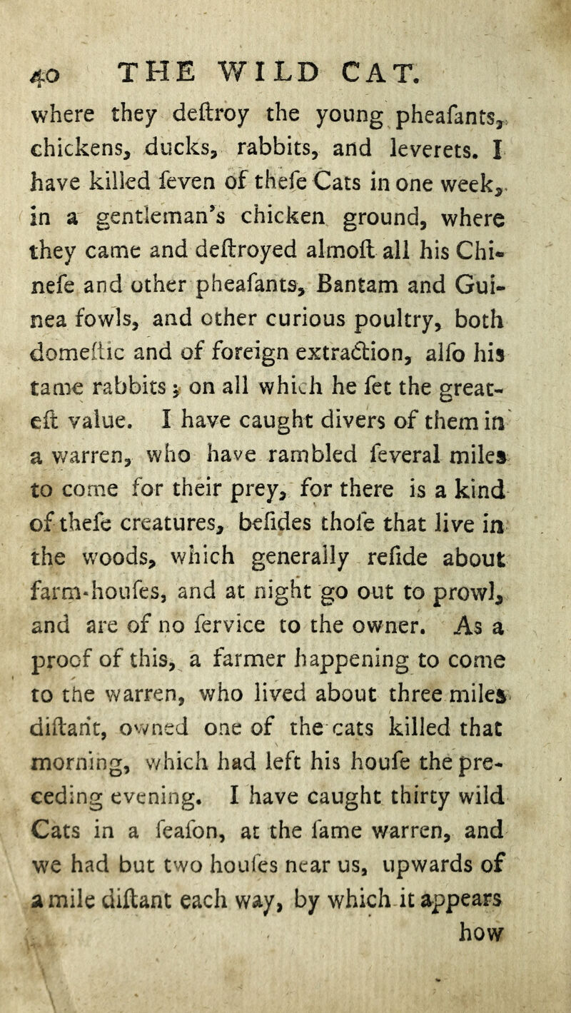 where they deftroy the young pheafants, chickens, ducks, rabbits, and leverets. I have killed feven of thefe Cats in one week, in a gentleman’s chicken ground, where they came and deftroyed almoft all his Chi- nefe and other pheafants. Bantam and Gui- nea fowls, and other curious poultry, both domeftic and of foreign extraction, alfo his tame rabbits; on all which he fet the great- eft value. I have caught divers of them in a warren, who have rambled feveral miles to come for their prey, for there is a kind of thefe creatures, befides thole that live in the woods, which generally refide about farm-houfes, and at night go out to prowl, and are of no fervice to the owner. As a proof of this, a farmer happening to come to the warren, who lived about three miles diftarit, owned one of the cats killed that morning, v/hich had left his houfe the pre- ceding evening. I have caught thirty wild Cats in a feafon, at the fame warren, and we had but two houfes near us, upwards of a mile diftant each way, by which it appears how