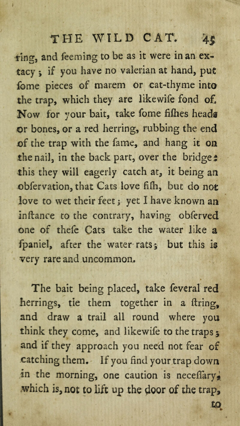 THE WILD CAT. 4$ ring, and feeming to be as it were in an ex- tacy ; if you have no valerian at hand, put fome pieces of marem or cat-thyme into the trap, which they are like wife fond of Now for your bait, take fome fifhes heads or bones, or a red herring, rubbing the end of the trap with the fame, and hang it on the nail, in the back part, over the bridge* this they will eagerly catch at, it being an obfervation, that Cats love filh, but do not love to wet their feet; yet I have known an inftance to the contrary, having obferved one of thefe Cats take the water like a fpaniel, after the water rats; but this is very rare and uncommon. The bait being placed, take feveral red herrings, tie them together in a firing, and draw a trail all round where you think they come, and likewife to the traps ; and if they approach you need not fear of catching them. If you find your trap down in the morning, one caution is necefiary* which is, not to lift up the door of the trap, tq