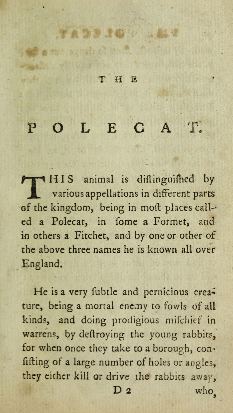P O L E C A T1 HIS animal is diftinguifhed by 1 various appellations in different parts of the kingdom, being in molt places call-- ed a Polecat, in fome a Formet, and in others a Fitchet, and by one or other of the above three names he is known all over England. He is a very lubtle and pernicious crea- ture, being a mortal enemy to fowls of all kinds, and doing prodigious mifchief in warrens, by deftroying the young rabbits, for when once they take to a borough, con- fiding of a large number of holes or angles, they either kill or drive the rabbits away. D 2 who