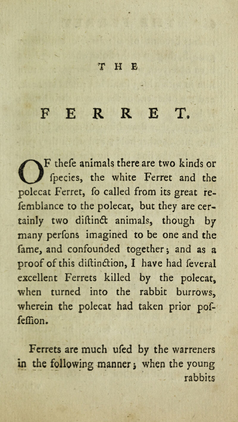 FERRET. OF thefe animals there are two kinds or fpecies, the white Ferret and the polecat Ferret, fo called from its great re- femblance to the polecat, but they are cer- tainly two diftinft animals, though by many perfons imagined to be one and the fame, and confounded together * and as a proof of this diftindtion, I have had feveral excellent Ferrets killed by the polecat, when turned into the rabbit burrows, wherein the polecat had taken prior pof- feffion. Ferrets are much ufed by the warreners in the following manner j when the young rabbits