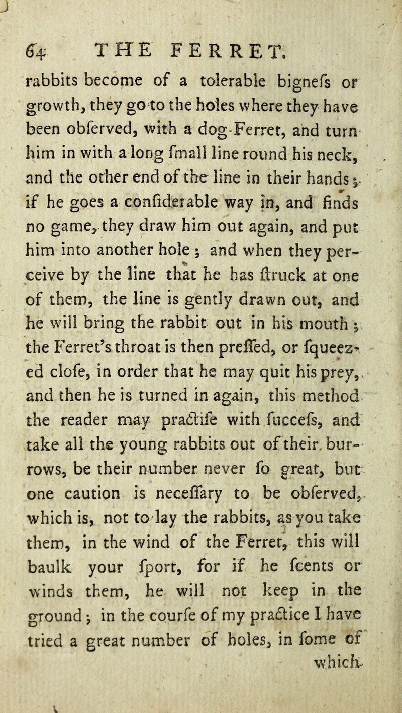 rabbits become of a tolerable bignefs or growth, they go to the holes where they have been obferved, with a dog-Ferret, and turn him in with a long fmall line round his neck, and tlie other end of the line in their hands *, W if he goes a considerable way in, and finds no game, they draw him out again, and put him into another hole; and when they per- ceive by the line that he has ftruck at one of them, the line is gently drawn out, and he will bring the rabbit out in his mouth j the Ferret’s throat is then prefied, or Squeez- ed clofe, in order that he may quit his prey, and then he is turned in again, this method the reader may pradhie with fuccefs, and take all the young rabbits out of their, bur- rows, be their number never fo great, but one caution is neceflary to be obferved, which is, not today the rabbits, as you take them, in the wind of the Ferrer, this will baulk your fporr, for if he Scents or winds them, he will not keep in the ground; in the courfe of my practice I have tried a great number of holes, in fome of which-