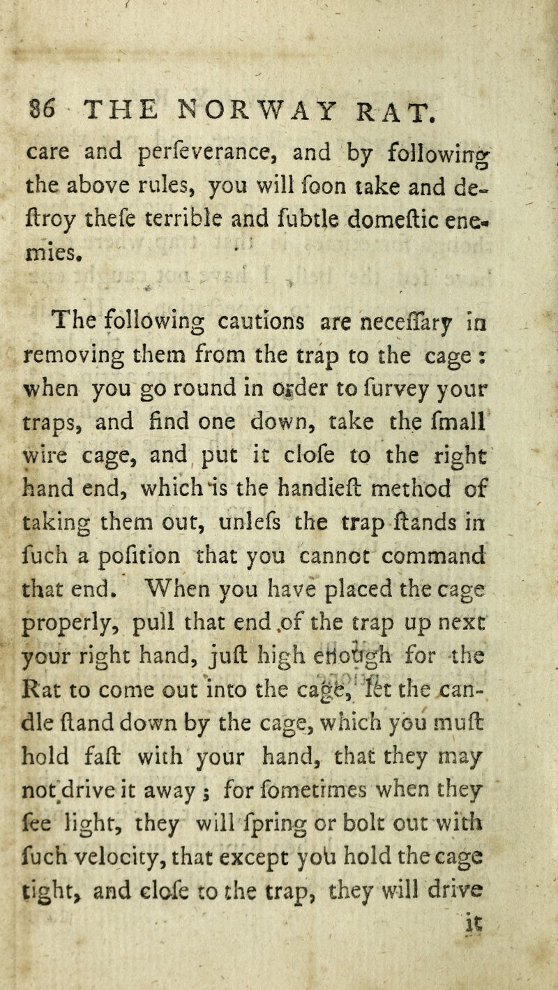 care and perfeverance, and by following the above rules, you will foon take and de- ft rcy tnefe terrible and fubtle domeftic ene- mies. The following cautions are neceflary in removing them from the trap to the cage : when you go round in order to furvey your traps, and find one down, take the fmall wire cage, and put it clofe to the right hand end, which‘is the handieft method of taking them out, unlefs the trap Hands in fuch a pofition that you cannot command that end. When you have placed the cage properly, pull that end ,of the trap up next your right hand, juft high etiohgh for the Rat to come out into the cagb, fk the can- dle (land down by the cage;, which you mult hold faft with your hand, that they may notdrive it away j for fometrmes when they fee light, they will fpring or bolt out with fuch velocity, that except yob hold the cage tight, and clofe to the trap, they will drive it