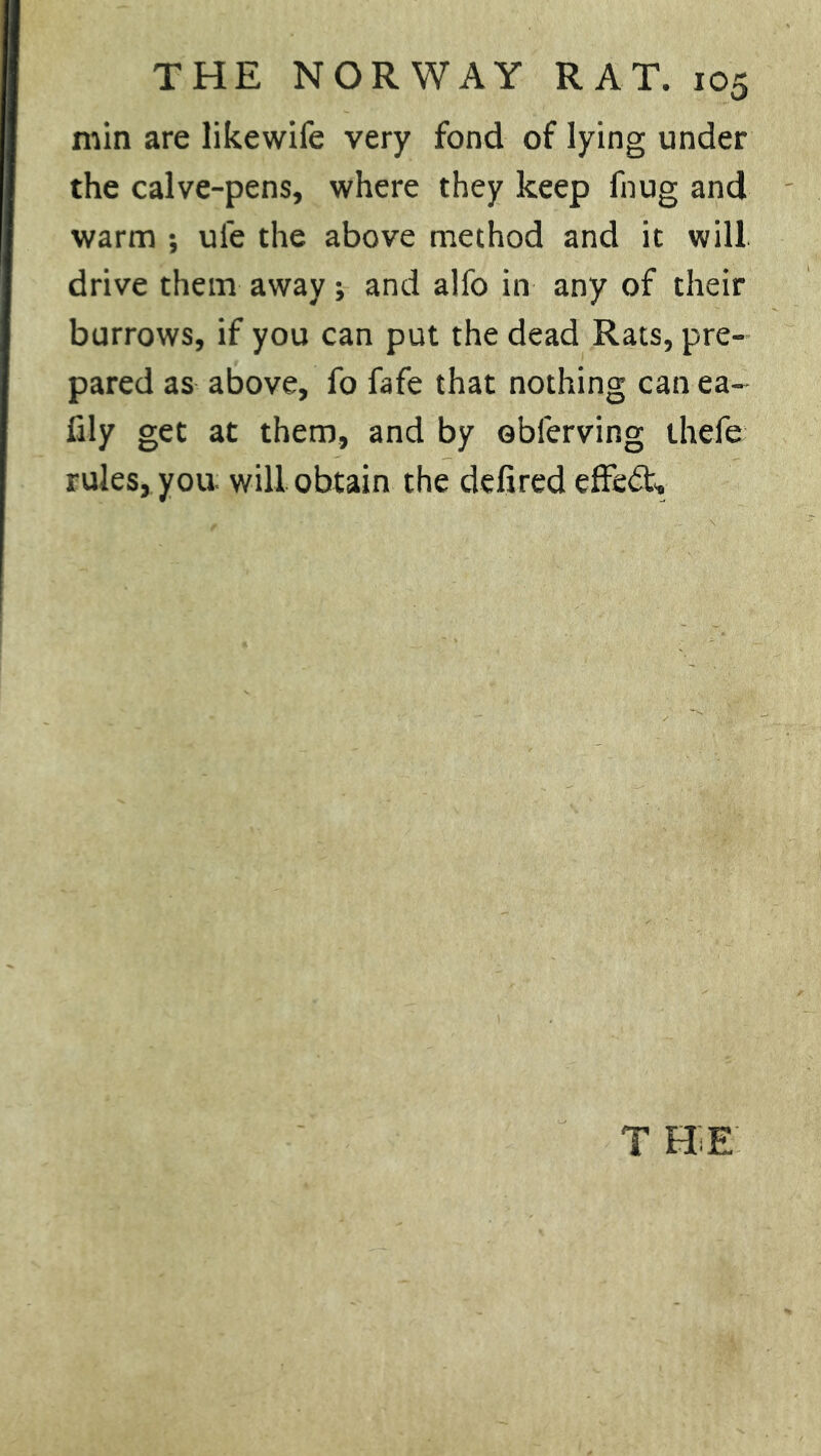 min are likewife very fond of lying under the calve-pens, where they keep fnug and warm *, uie the above method and it will drive them away; and alfo in any of their burrows, if you can put the dead Rats, pre- pared as above, fo fafe that nothing can ea- fily get at them, and by obferving thefe rules, you will obtain the defired effect. T HE