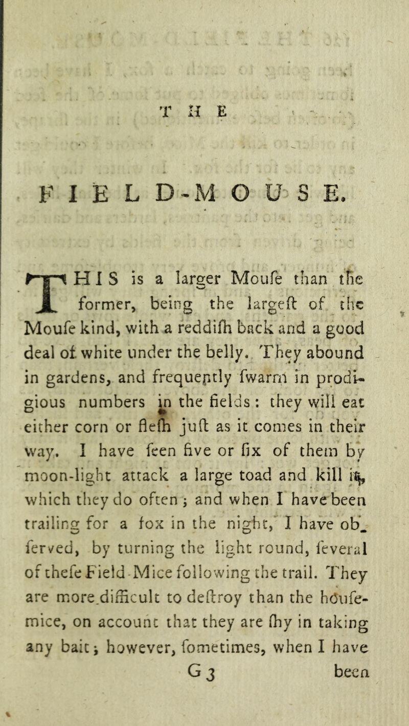 KIEL D-M O U S E. HIS is a larger Moufe than the X former, being the largeft of the Moufe kind, with a reddifh back and a good deal of white under the belly. They abound in gardens, and frequently fwarrn in prodi- gious numbers in the fields : they will eat either corn or flelh juft as it comes in their way. I have feen five or fix of them by moon-light attack a large toad and kill i% which they do often ; and when I have been trailing for a fox in the night, I have ob ferved, by turning the light round, feveral of thefe Field Mice following the trail. They are more.difficult to deftroy than the htJufe- mice, on account that they are fhy in taking any bait j however, fometimes, when I have been %