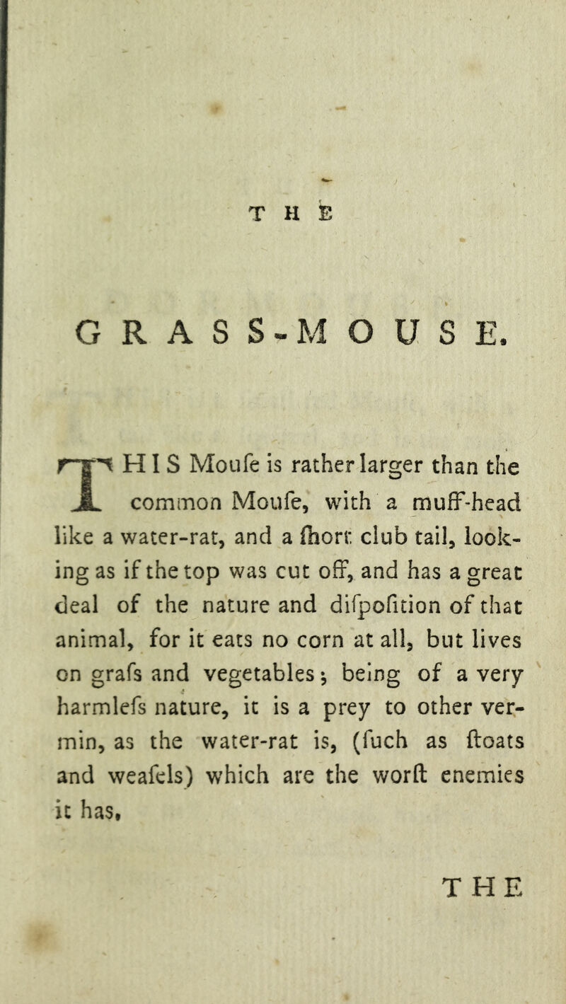 GRASS -MOUSE. HIS Moufe 5s rather larger than the JL common Moufe, with a muff-head like a water-rat, and a fhorc club tail, look- ing as if the top was cut off, and has a great deal of the nature and difpofition of that animal, for it eats no corn at all, but lives on grafs and vegetables * being of a very harmlefs nature, it is a prey to other ver- min, as the water-rat is, (fuch as floats and weafels) which are the worft enemies it has,