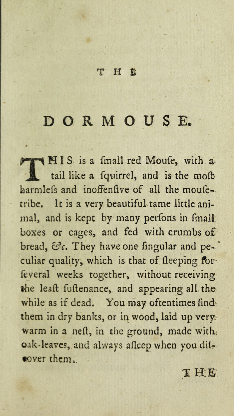 DORMOUSE. Thi S is a fmall red Moufe, with a tail like a fquirrel, and is the moft harmlefs and inoffenfive of all the moufe- tribe. It is a very beautiful tame little ani- mal, and is kept by many perfons in final! boxes or cages, and fed with crumbs of bread, csfc. They have one Angular and pe- culiar quality, which is that of fleeping for feveral weeks together, without receiving the leaf! fuftenance, and appearing all.the while as if dead. You may oftentimes find them in dry banks, or in wood, laid up very warm in a neft, in the ground, made with, oak-leaves, and always afleep when you dif- •over them..