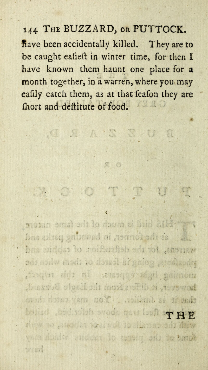 Rave been accidentally killed. They are to be caught eafieft in winter time, for then I have known them haunt one place for a month together, in a warren, where you may eafily catch them, as at that feafon they are fliort and deftitute of food.