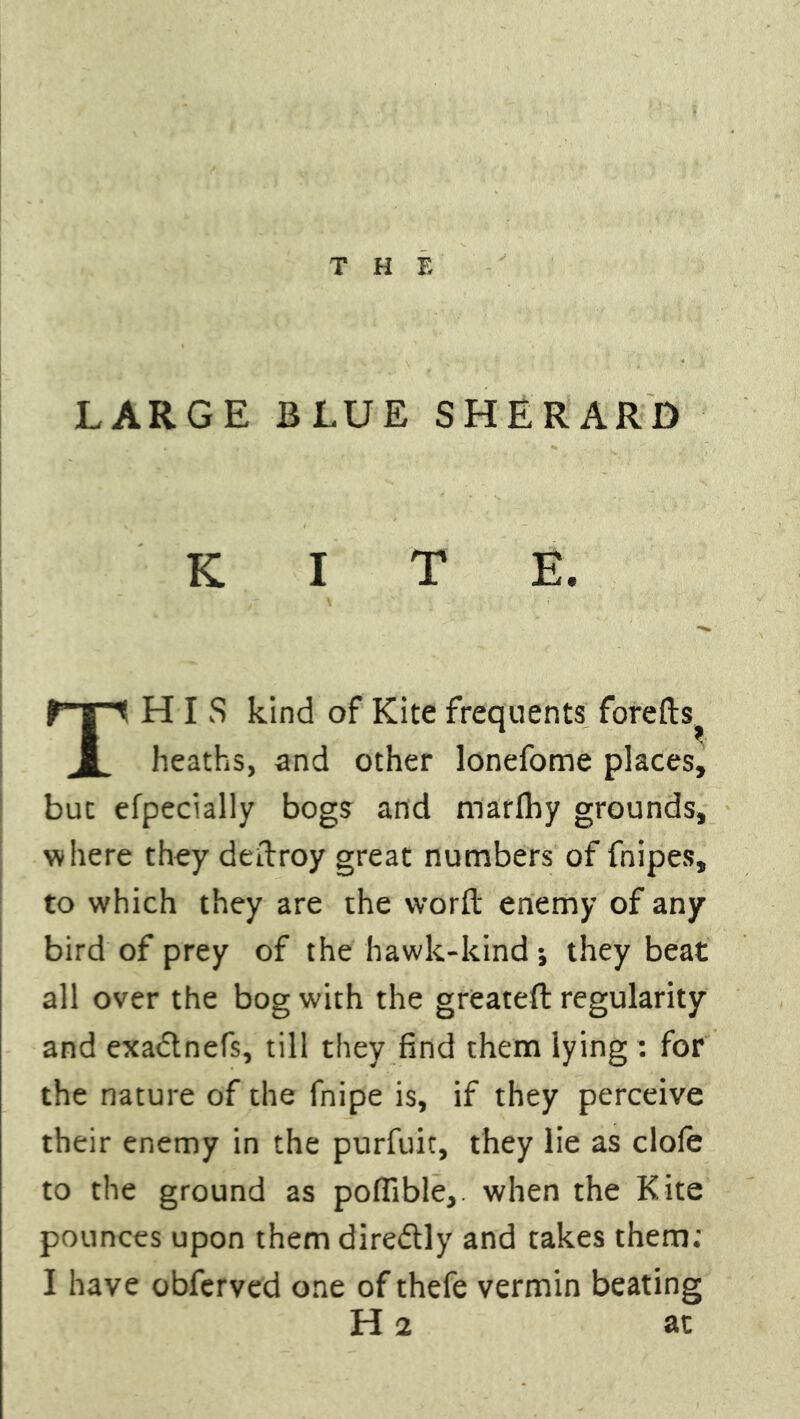 LARGE BLUE SHERARD KITE. THIS kind of Kite frequents forefts^ heaths, and other lonefome places, but efpecially bogs and marfhy grounds, where they dedroy great numbers of fnipes, to which they are the word enemy of any bird of prey of the hawk-kind ; they beat all over the bog with the greateft regularity and exadnefs, till they find them lying : for the nature of the fnipe is, if they perceive their enemy in the purfuit, they lie as clofe to the ground as poffible,. when the Kite pounces upon them diredly and takes them: I have obferved one of thefe vermin beating H 2 at