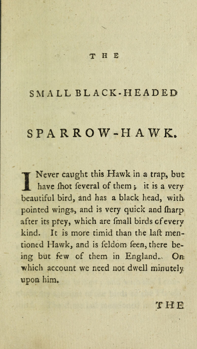 SMALL BLACK-HEADED SPARROW-HAWK. I Never caught this Hawk in a trap, bu£ have (hot feveral of them it is a very beautiful bird, and has a black head, with pointed wings-, and is very quick and (harp after its pfey, which are (mall birds of every kind. It is more timid than the Laft men- tioned Hawk, and is feldom feen, there be- ing but few of them in England..- On which account we need not dwell minutely upon him.