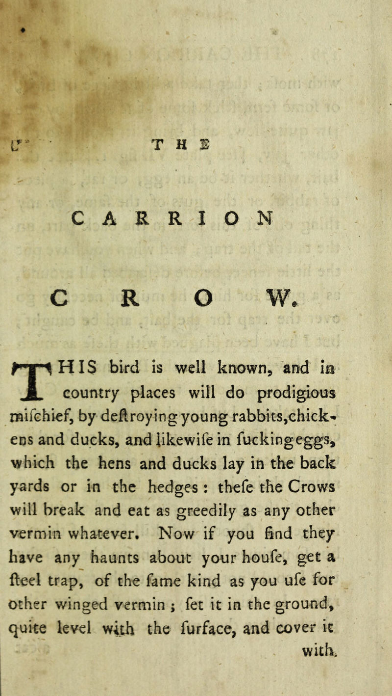 CARRION CROW. THIS bird is well known, and in country places will do prodigious mifchief, by deflroying young rabbits,chick- ens and ducks, and iikewife in fucking eggs, which the hens and ducks lay in the back yards or in the hedges: thefe the Crows will break and eat as greedily as any other vermin whatever. Now if you find they have any haunts about your houfe, get a fteel trap, of the fame kind as you ufe for other winged vermin j fet it in the ground, quite level with the furface, and cover it with.
